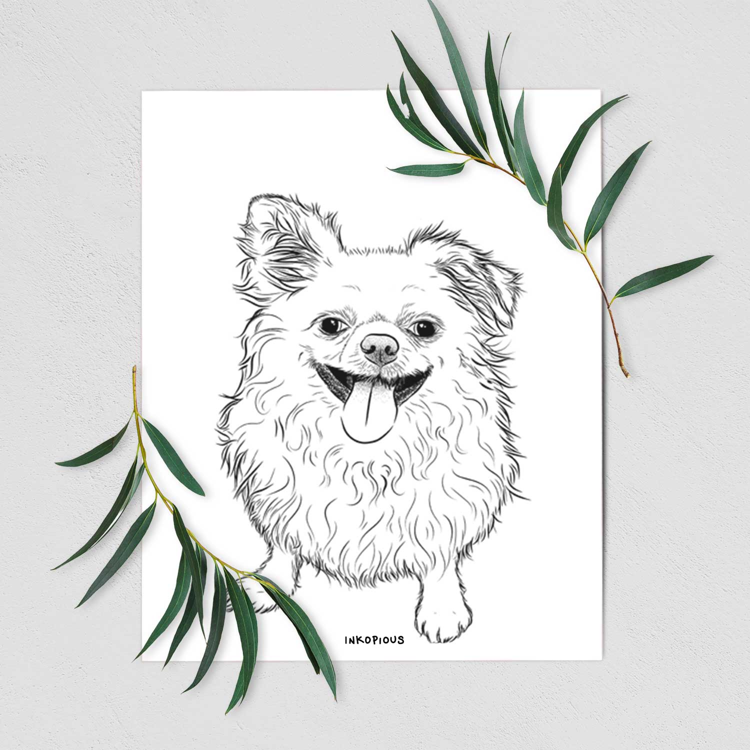 Stuart the Longhaired Chihuahua Art Print