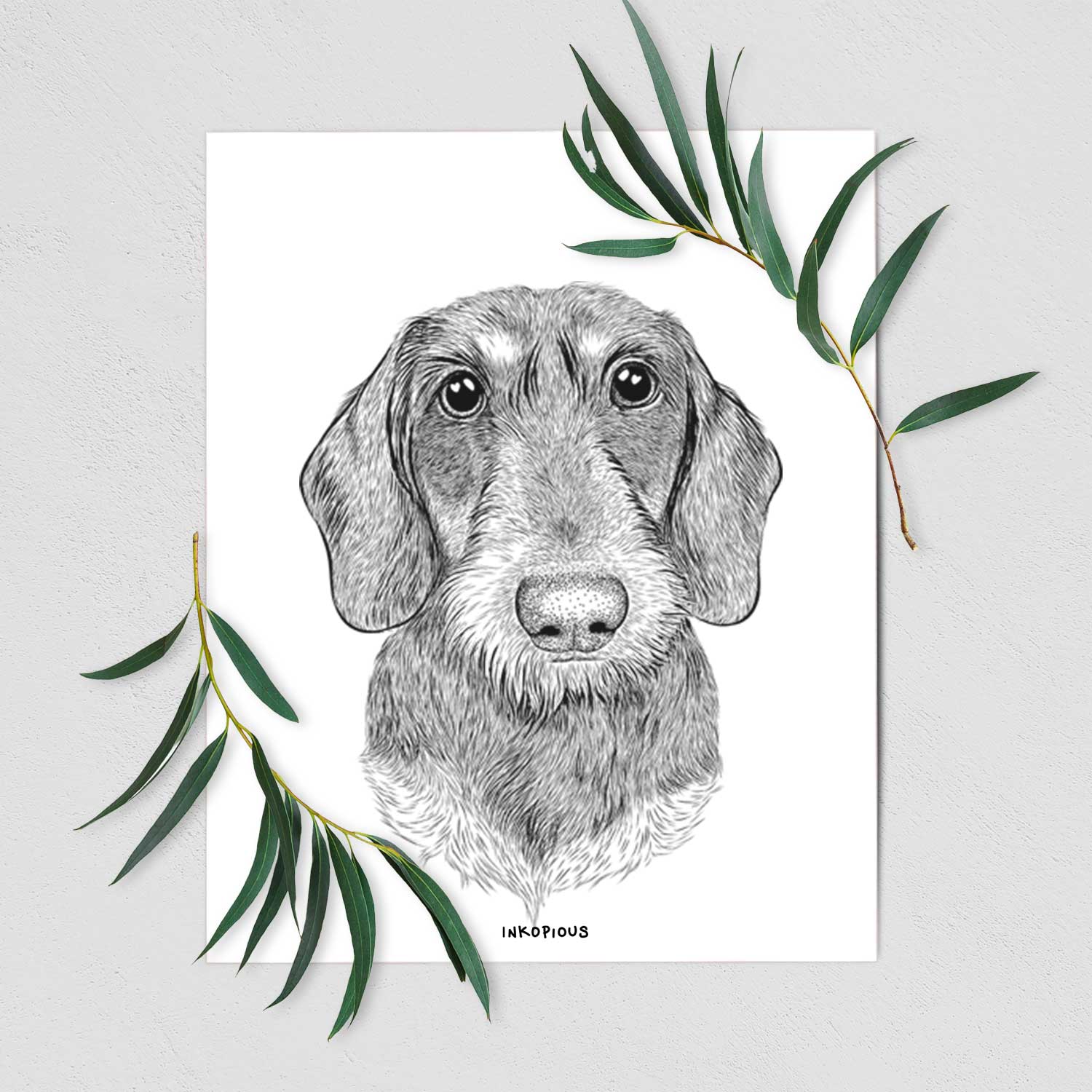 Truman the Wirehaired Dachshund Art Print