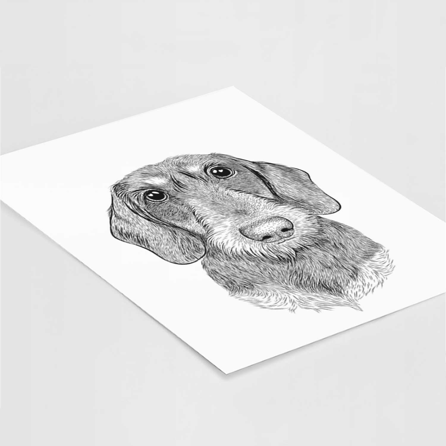 Truman the Wirehaired Dachshund Art Print