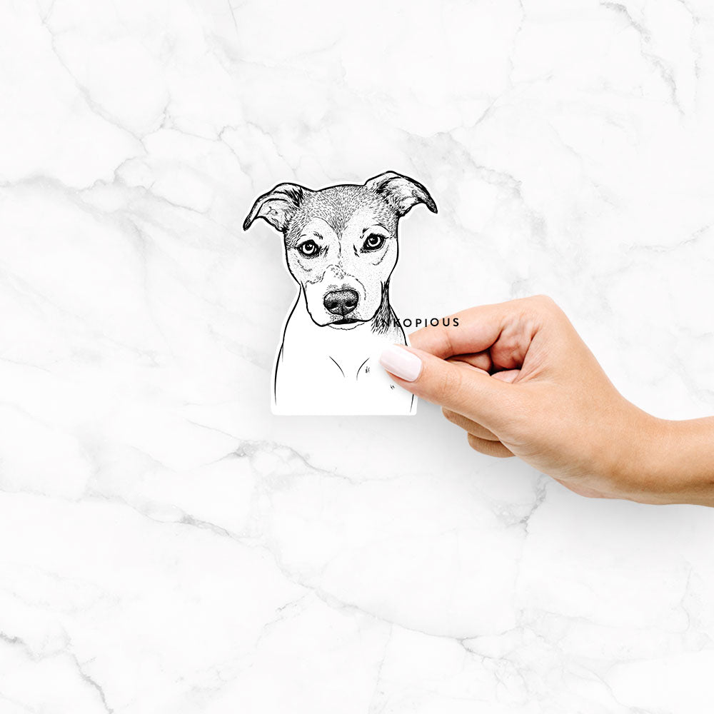 Hand-drawn sketch of Tula the American Staffordshire Terrier Heeler Mix on a decal sticker