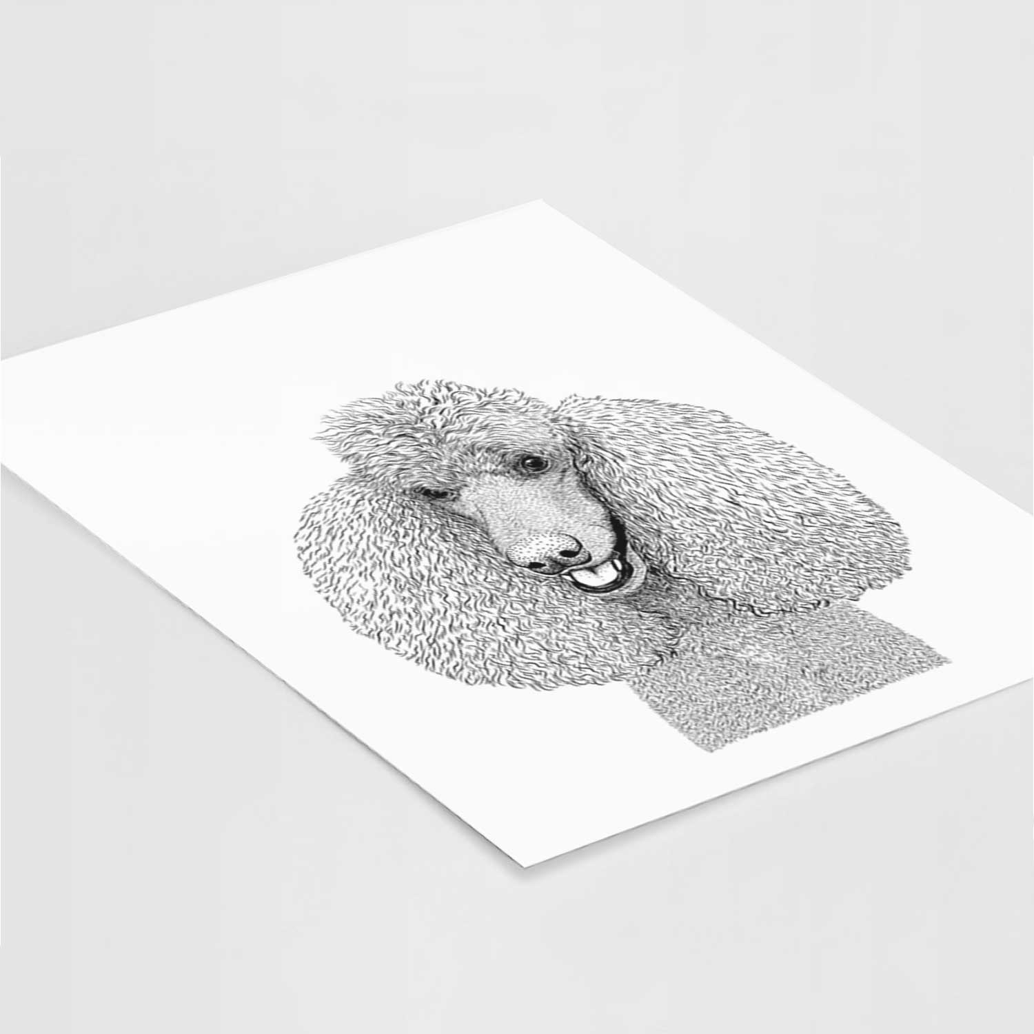 Uncle Tucker the Standard Poodle Art Print