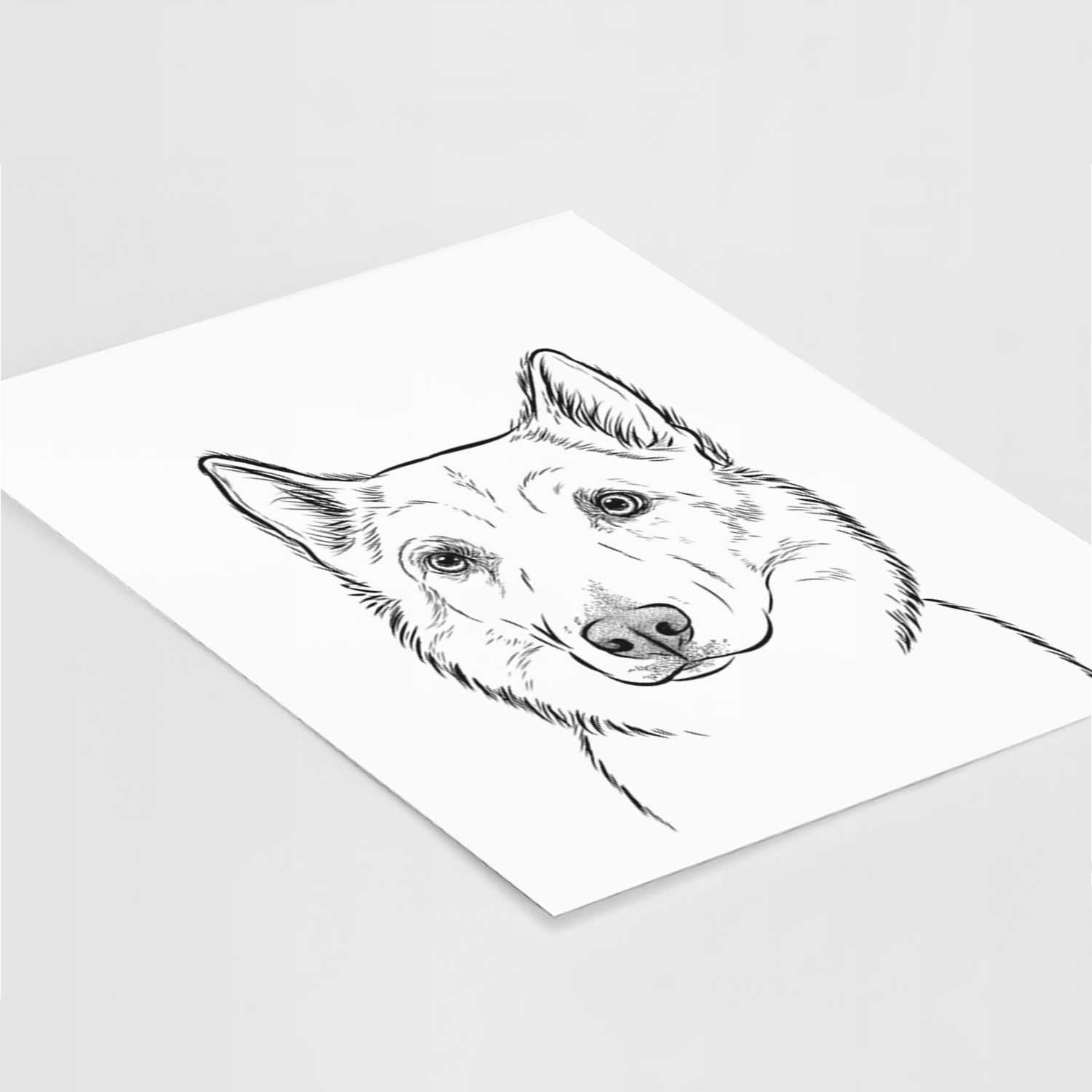 Vox the Siberian Husky Art Print