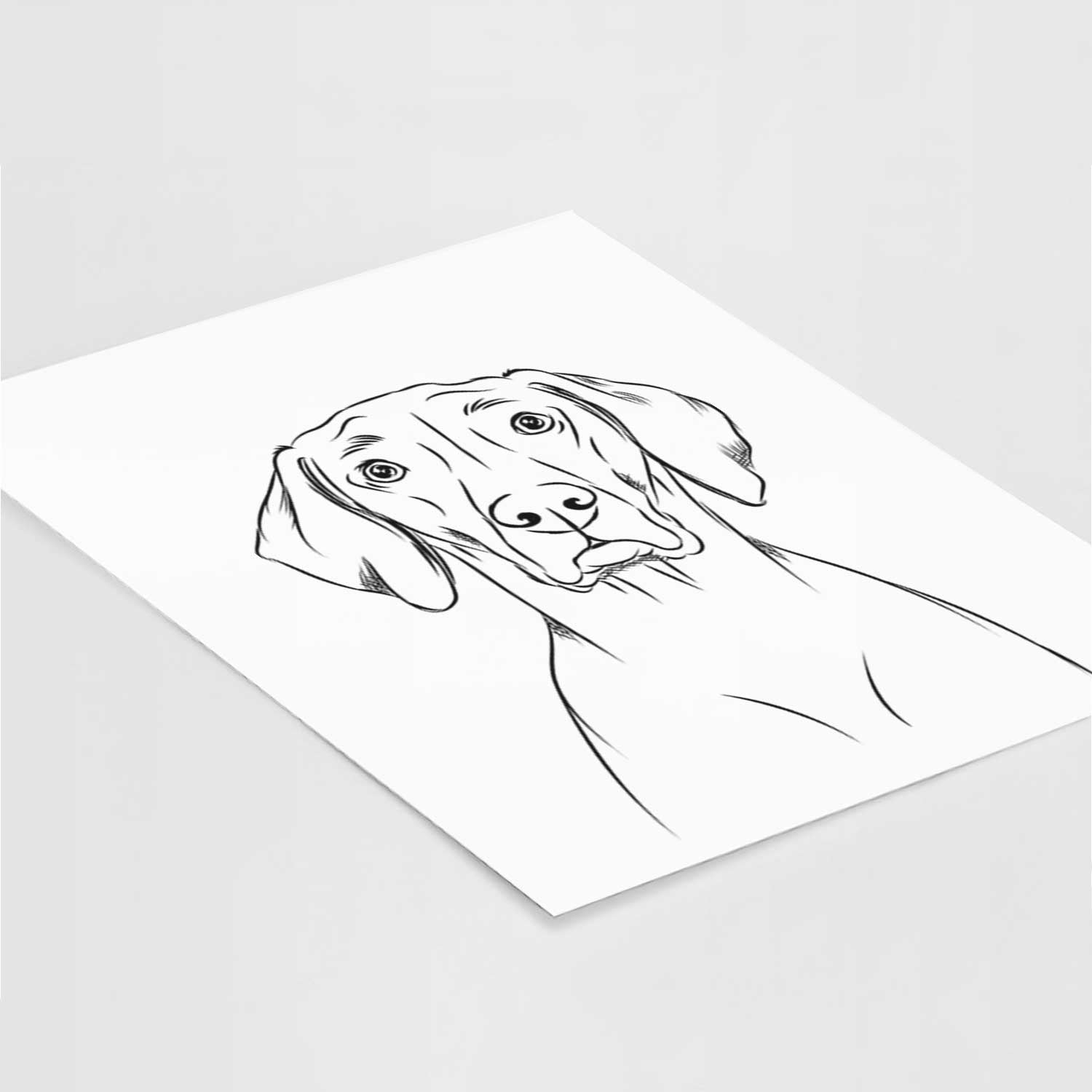 Walter the Weimaraner Art Print