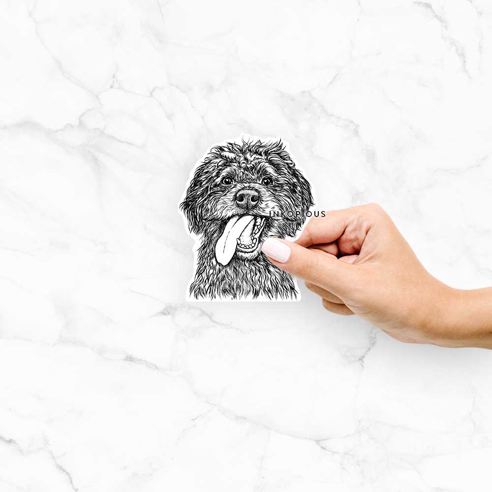 Hand-drawn sketch of Winnie the Mini Aussiedoodle on a decal sticker