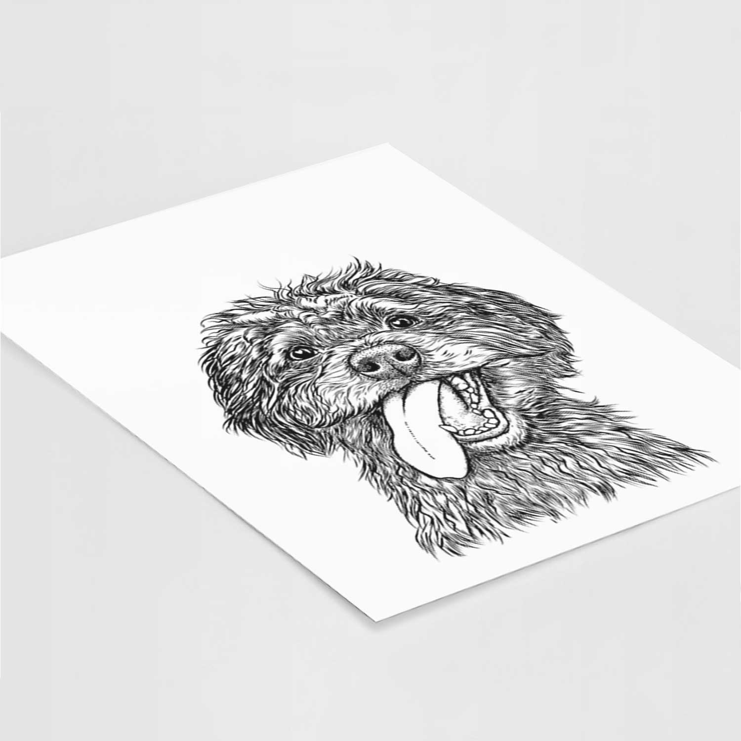 Winnie the Aussiedoodle Art Print