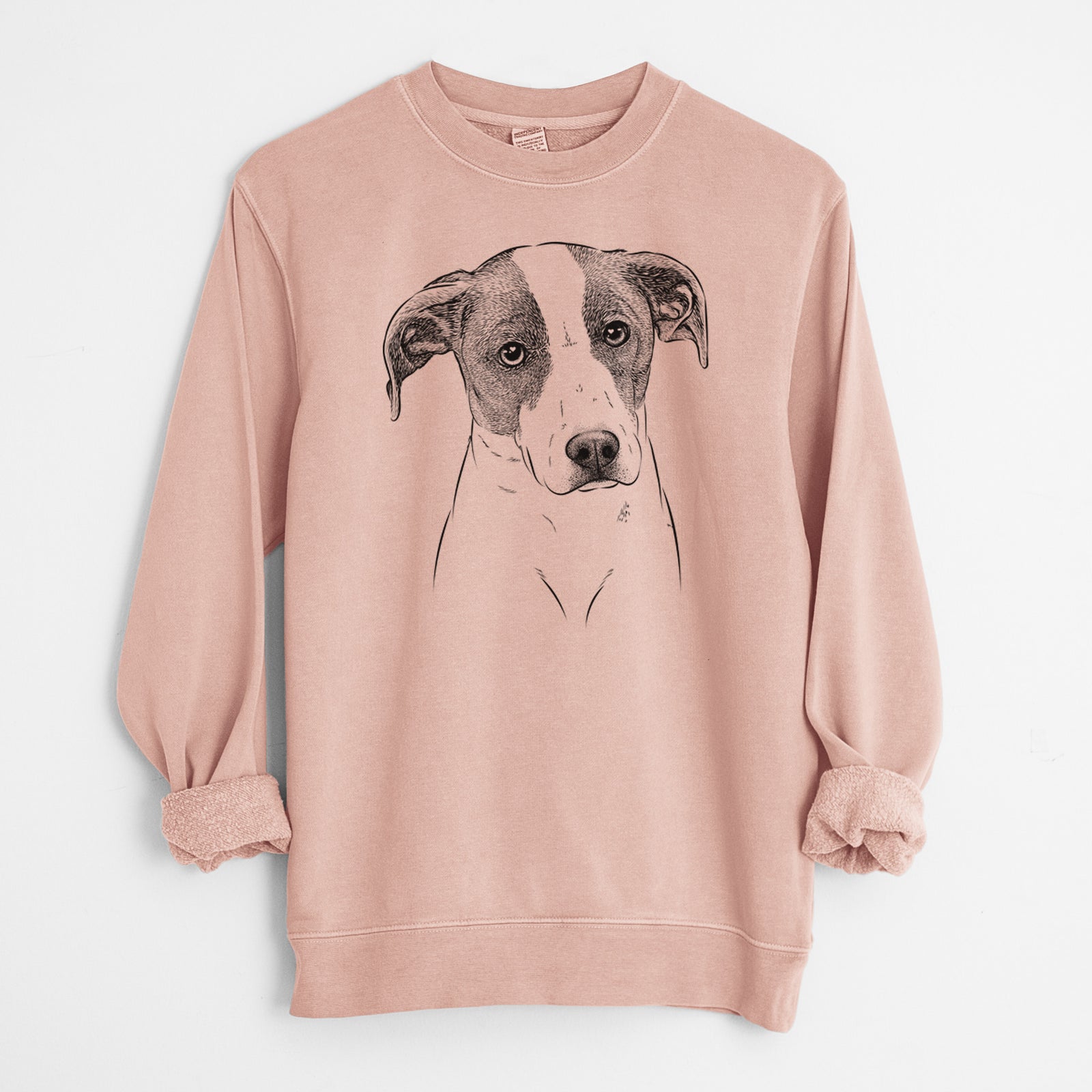 Bare Zephyr the Pointer Mix - Unisex Pigment Dyed Crew Sweatshirt