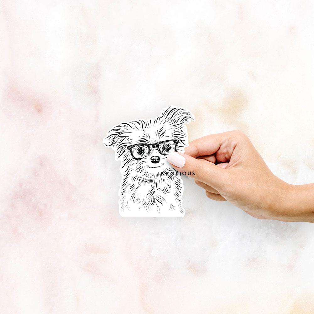 Hand-drawn sketch of Mr. Gucci the Maltese on a Mr Gucci decal sticker