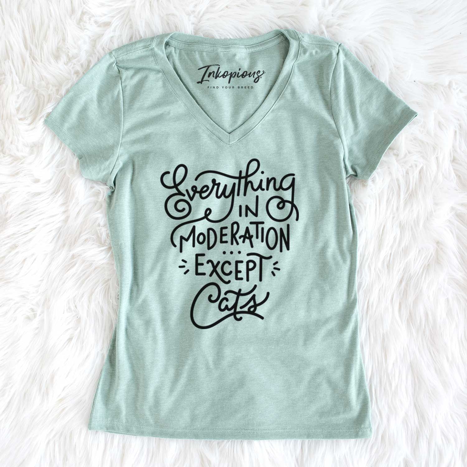 Everything in Moderation - Except Cats - Women's V-neck Shirt