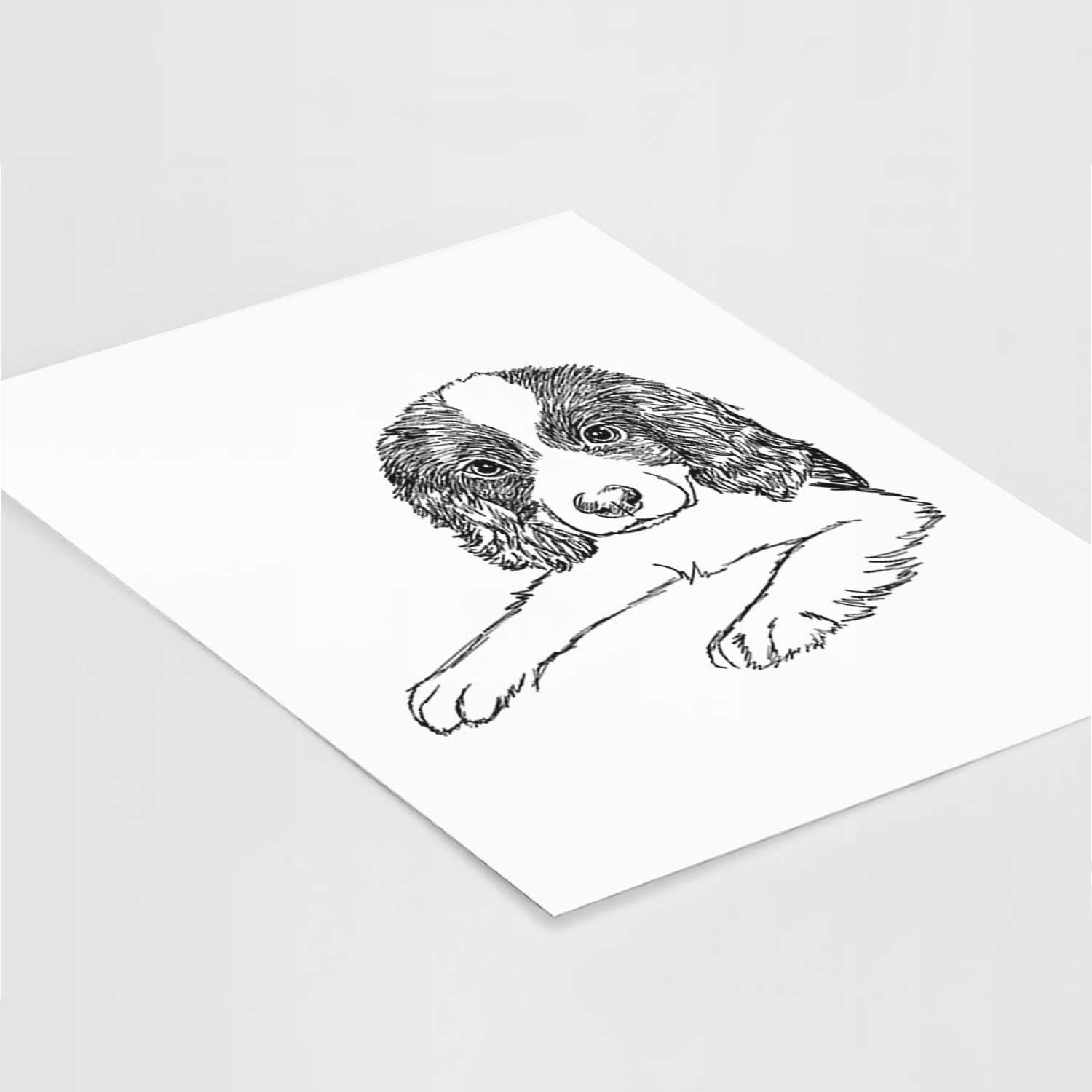 Doodled Bandit the English Springer Spaniel Puppy Art Print