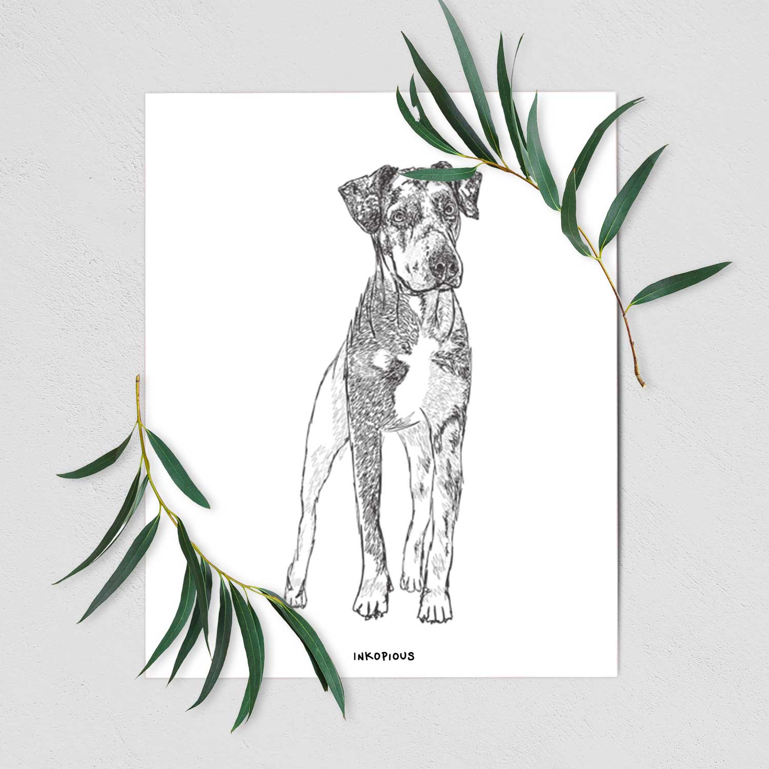 Doodled Bane the Catahoula Art Print