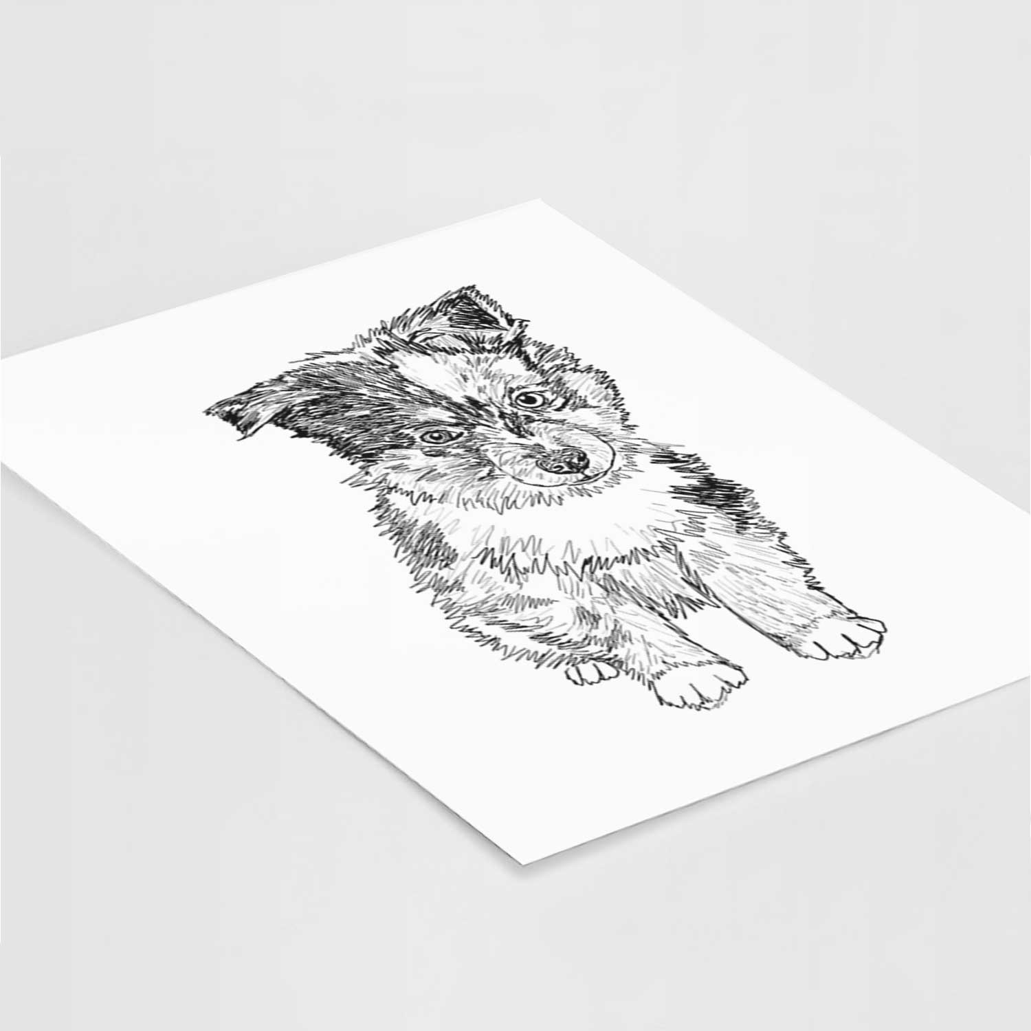 Doodled Bernie the Mini Aussie Art Print