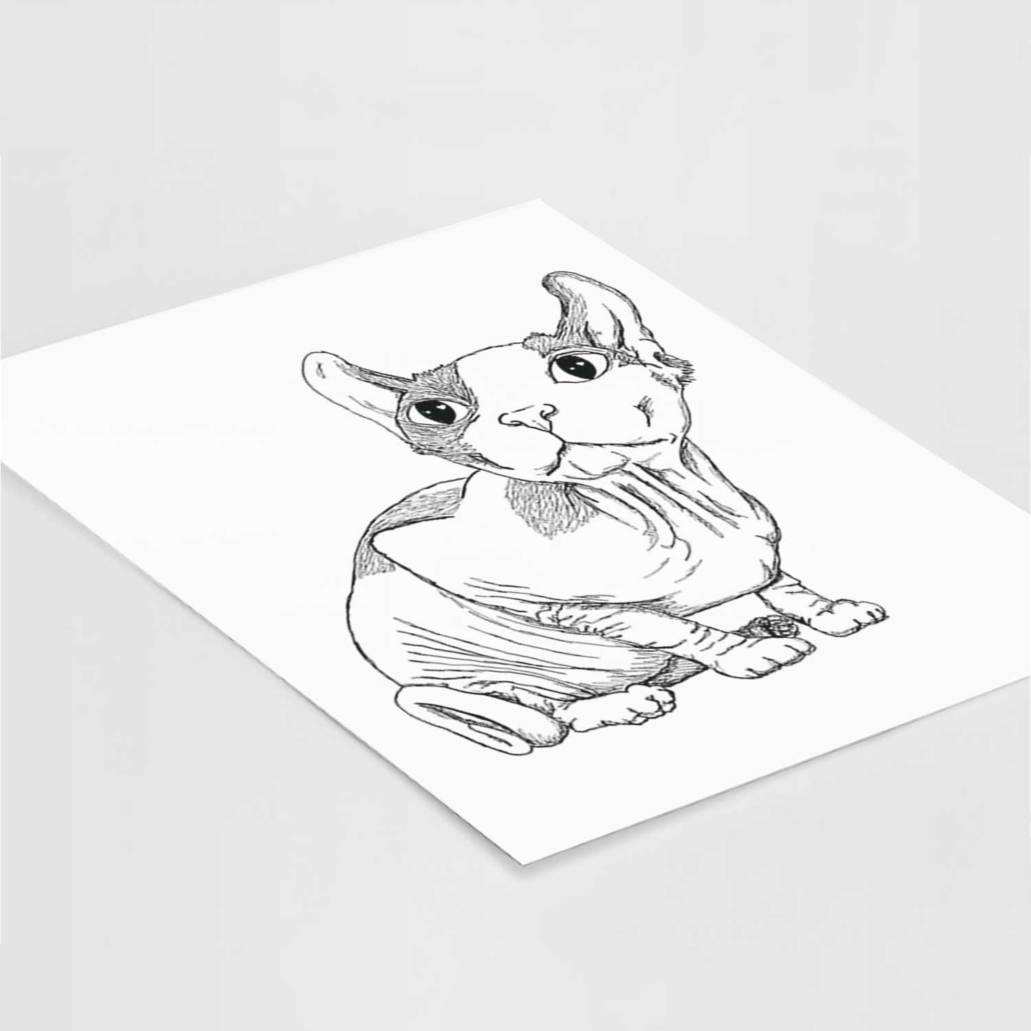 Doodled Bug the Sphynx Art Print