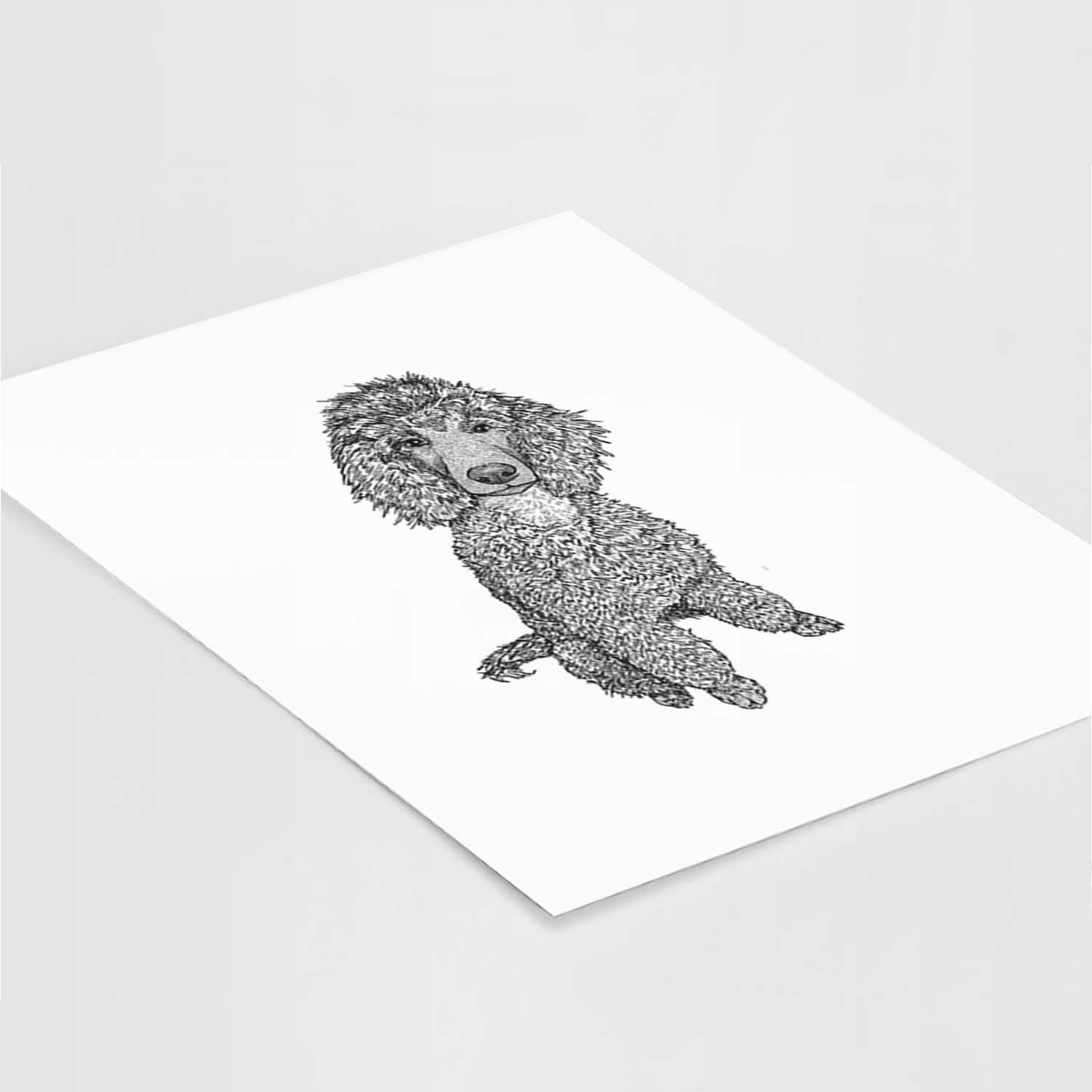 Doodled Casey the Standard Poodle Art Print