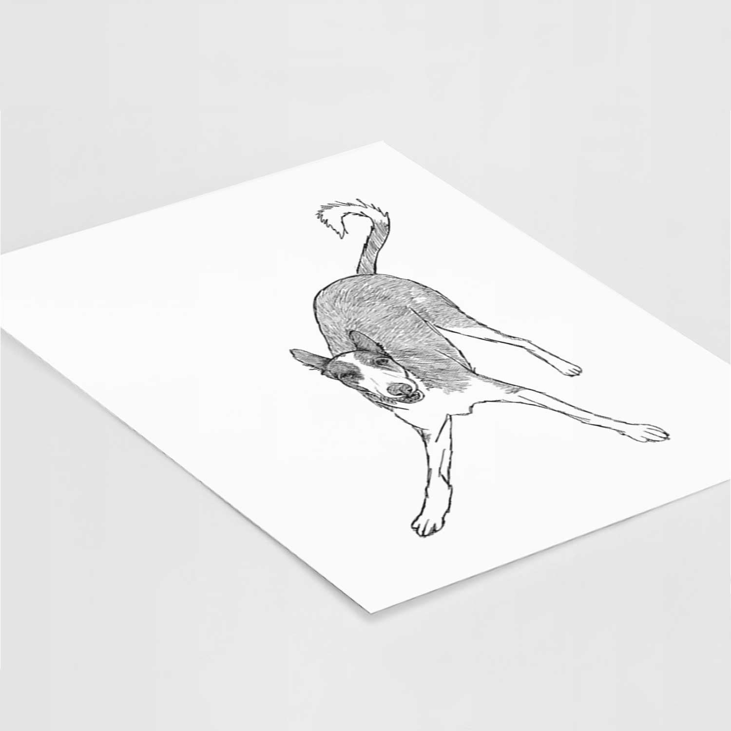 Doodled Hunee the Ibizan Sighthound Art Print