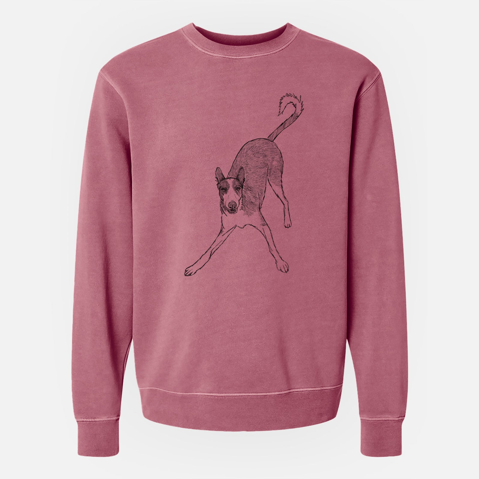Doodled Hunee the Ibizan Sighthound - Unisex Pigment Dyed Crew Sweatshirt