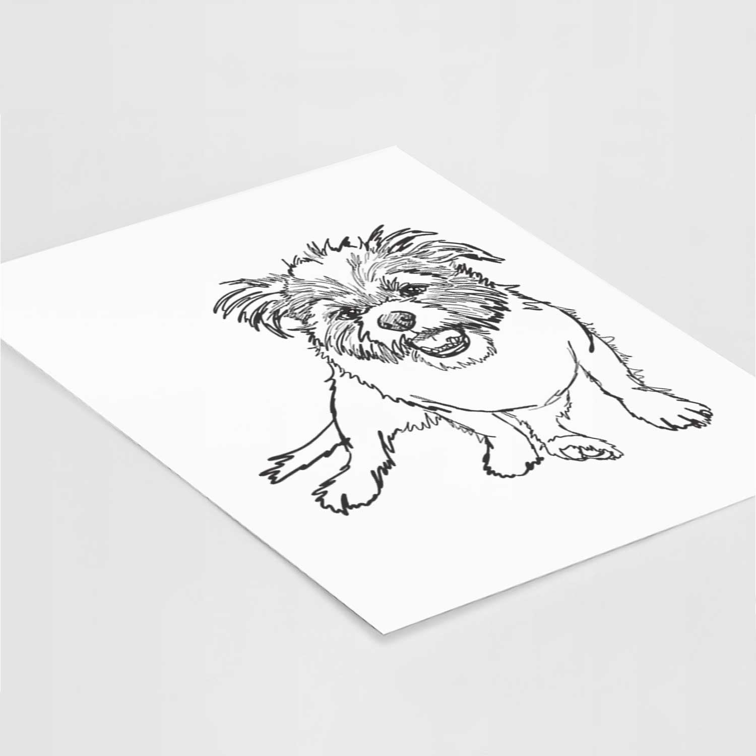 Doodled Jack the Shih Tzu Jack Russell Terrier Mix Art Print