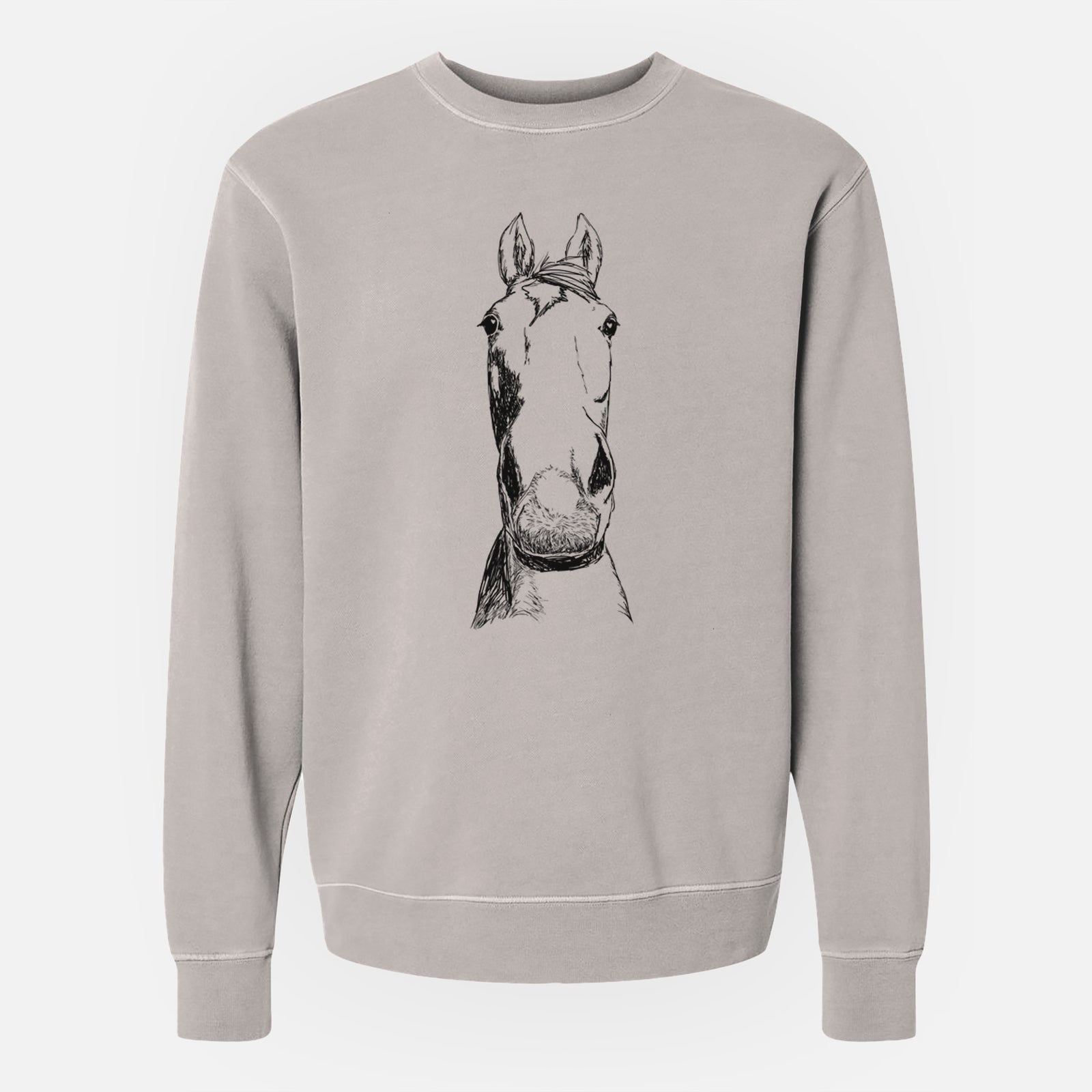 Doodled Jeremiah the OTTB - Unisex Pigment Dyed Crew Sweatshirt