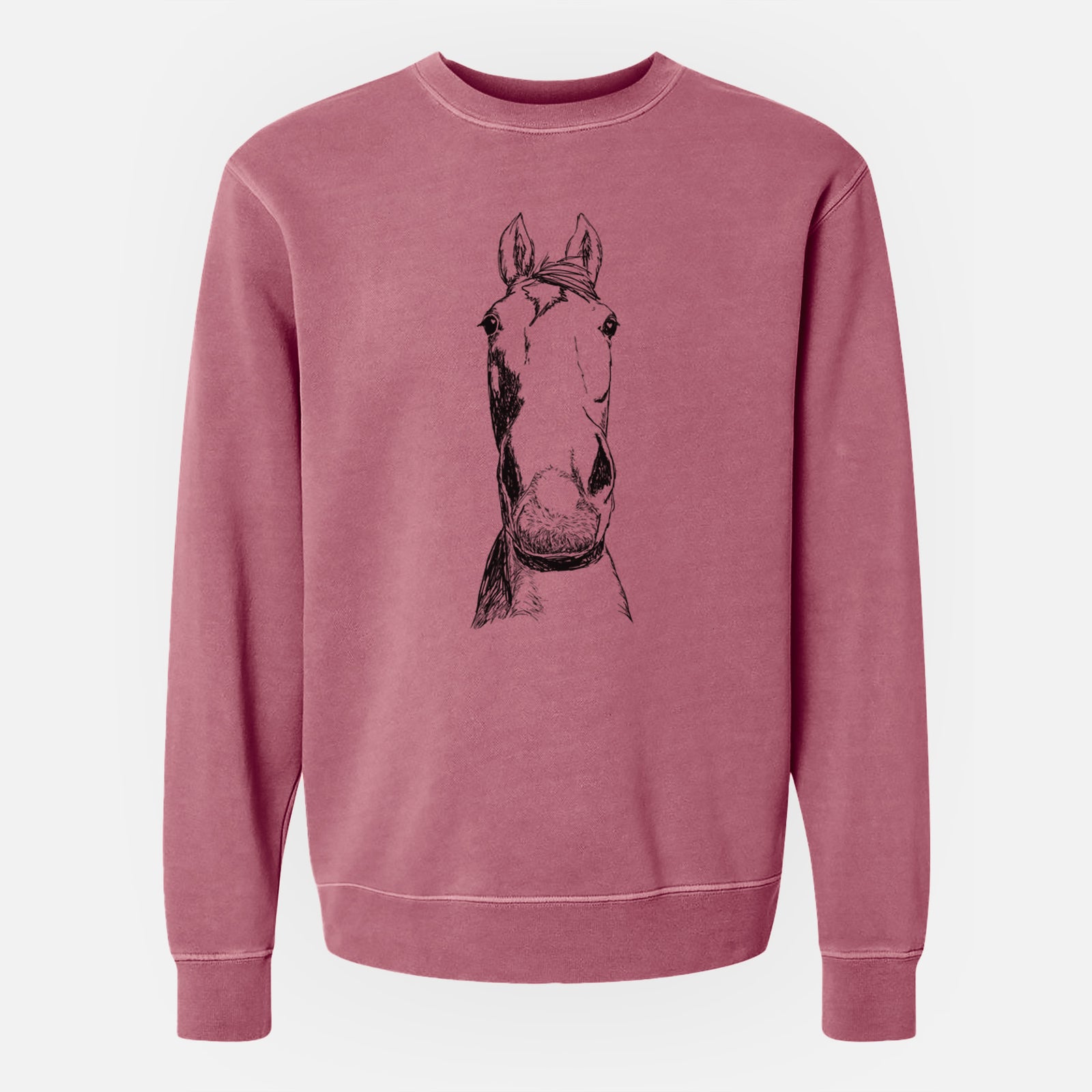 Doodled Jeremiah the OTTB - Unisex Pigment Dyed Crew Sweatshirt