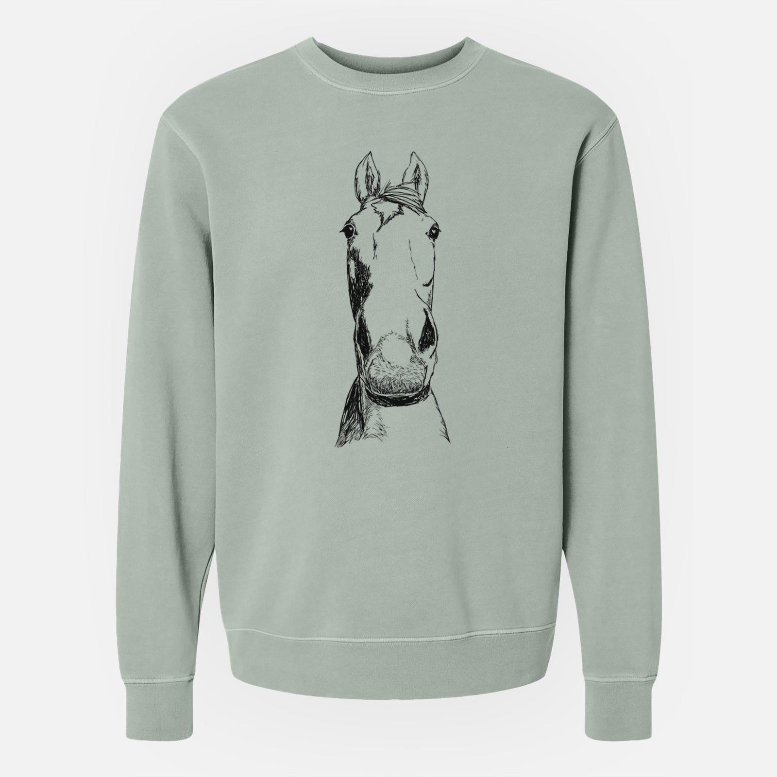 Doodled Jeremiah the OTTB - Unisex Pigment Dyed Crew Sweatshirt