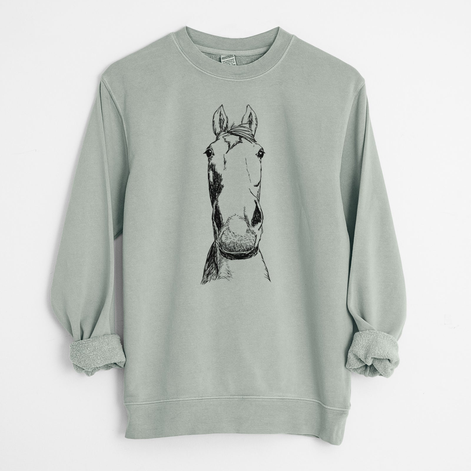 Doodled Jeremiah the OTTB - Unisex Pigment Dyed Crew Sweatshirt