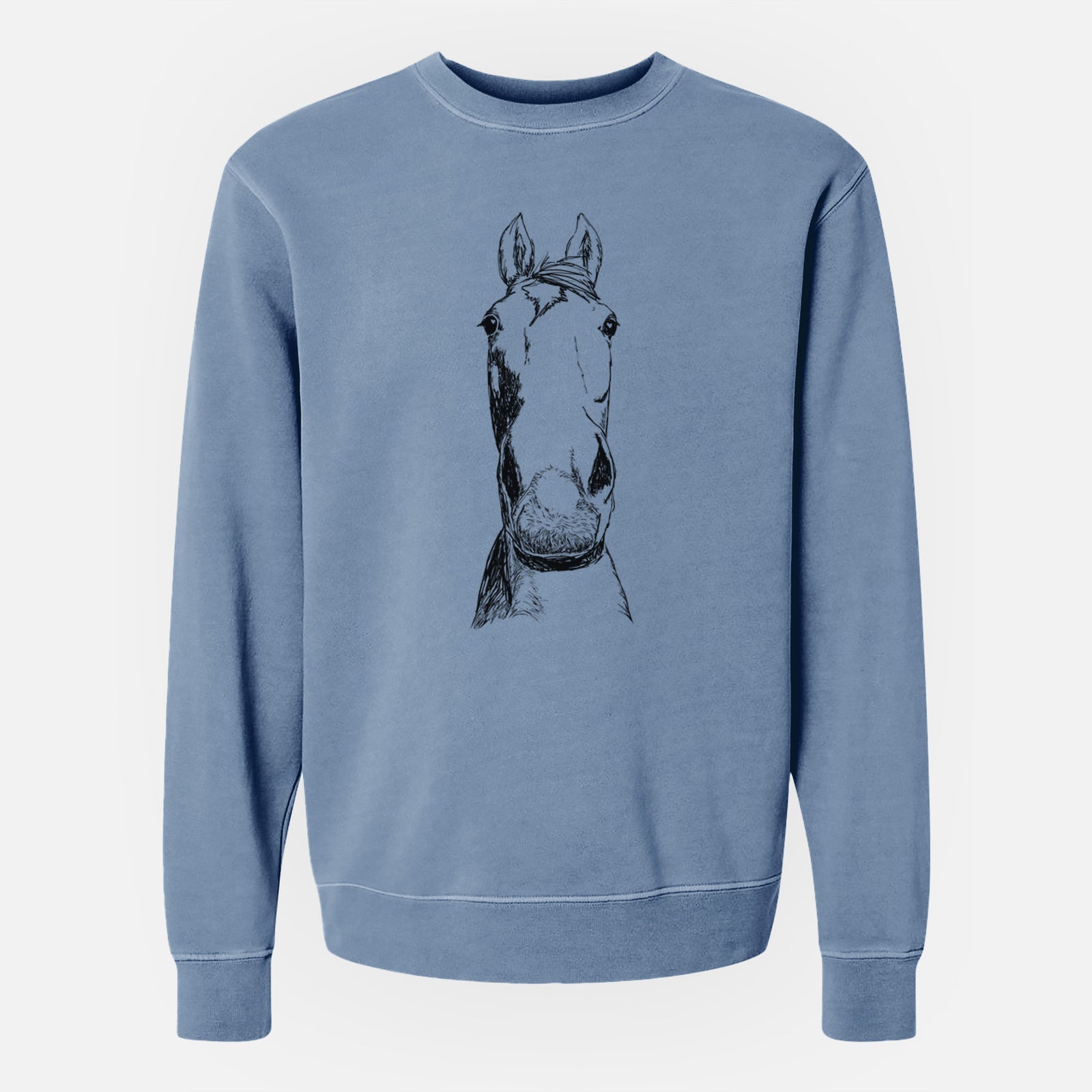 Doodled Jeremiah the OTTB - Unisex Pigment Dyed Crew Sweatshirt