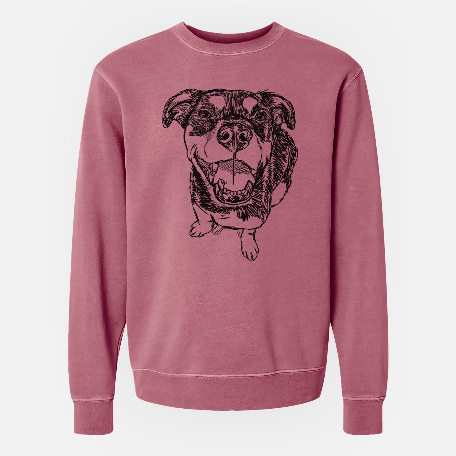 Doodled Lady Kane the Reagle - Unisex Pigment Dyed Crew Sweatshirt
