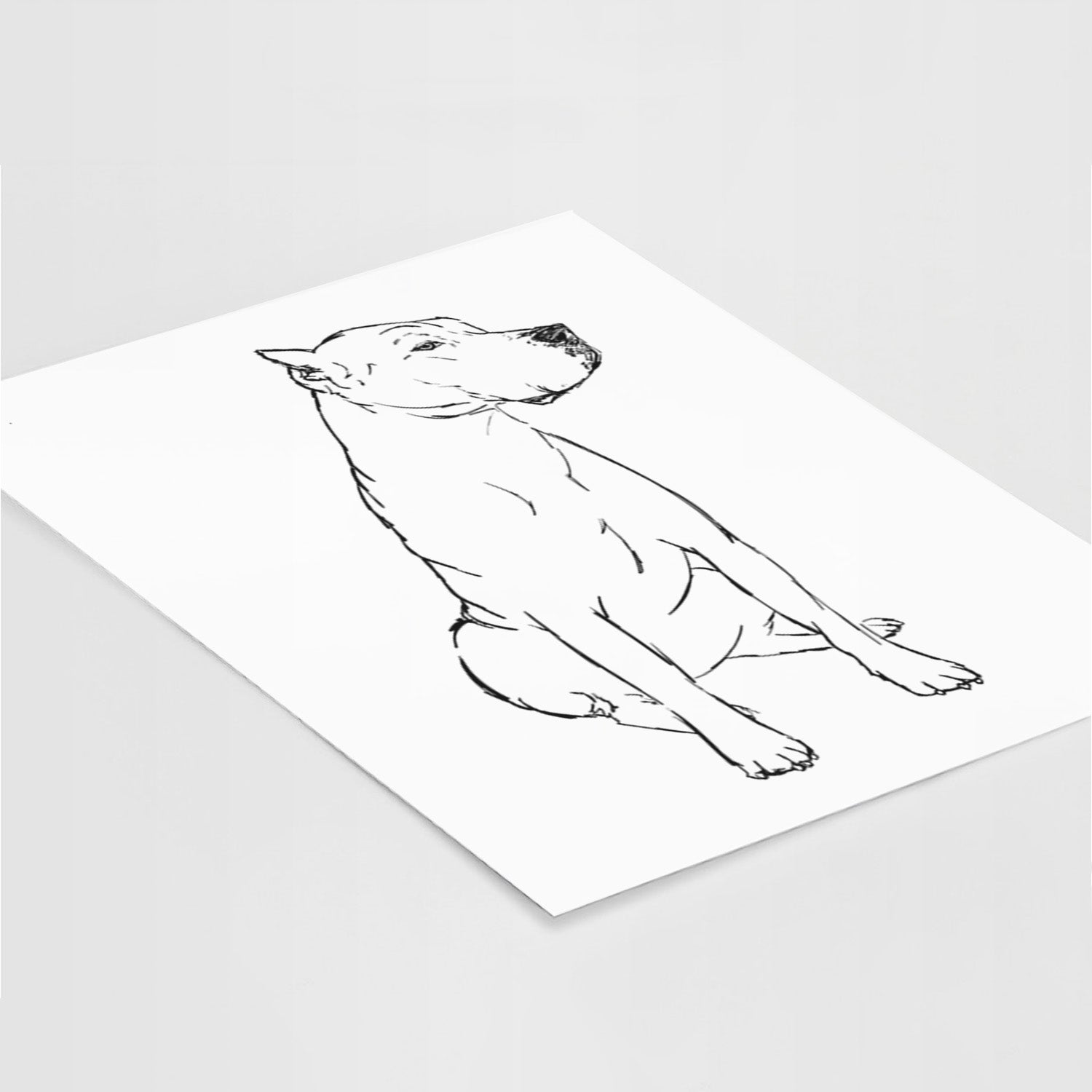 Doodled Luna the Dogo Argentino Art Print