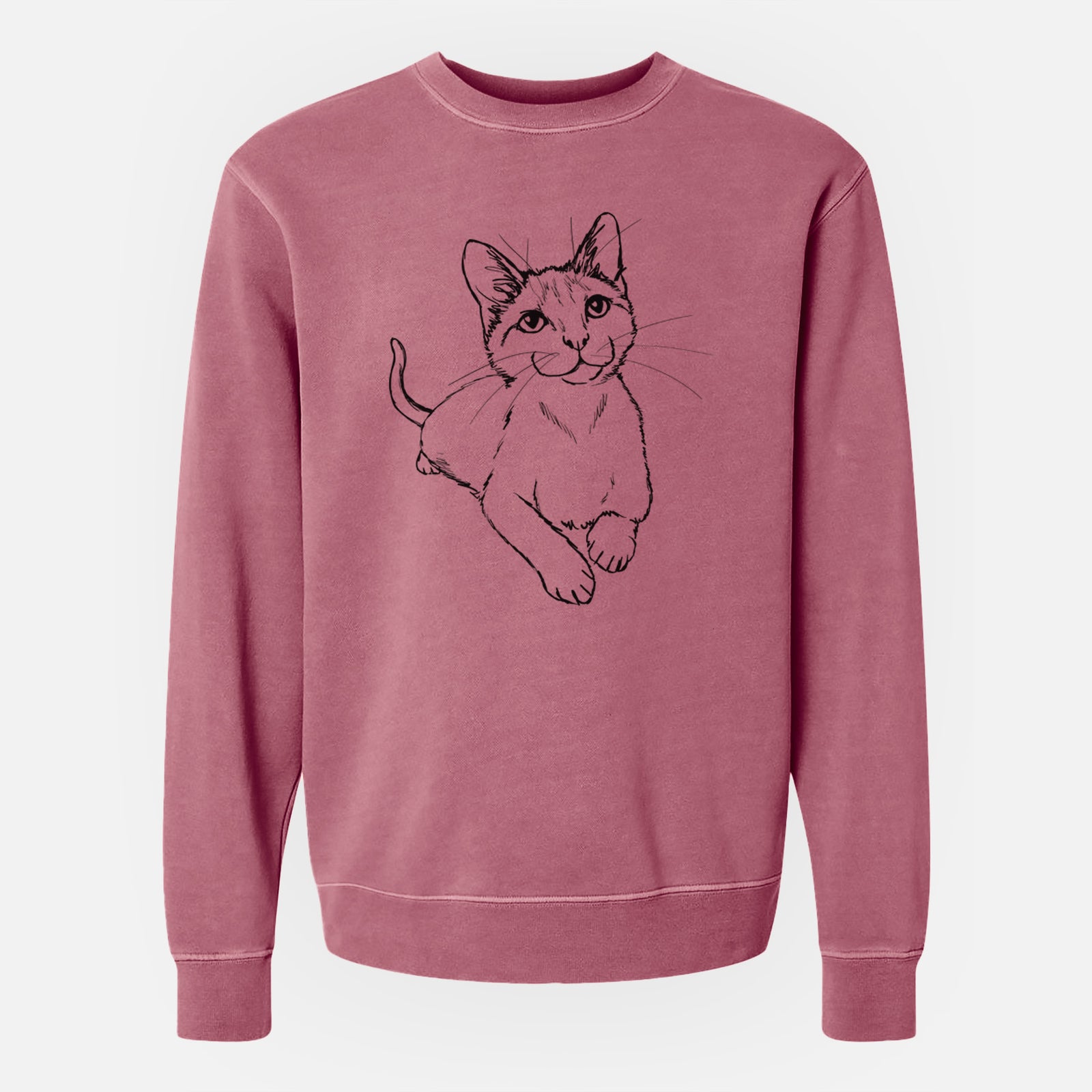 Doodled Quark the Siamese Cat - Unisex Pigment Dyed Crew Sweatshirt