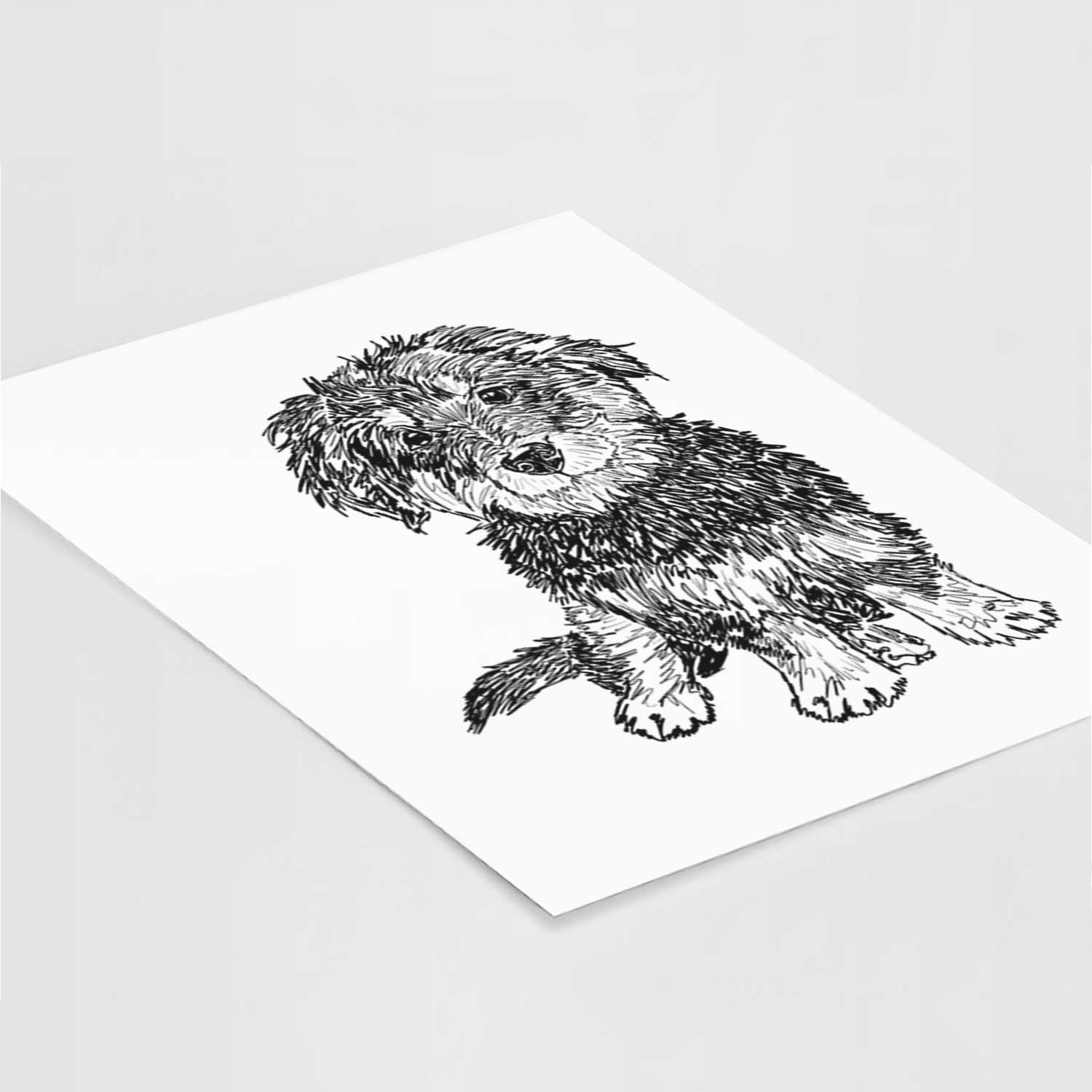 Doodled Remy the Mini Bernedoodle Art Print
