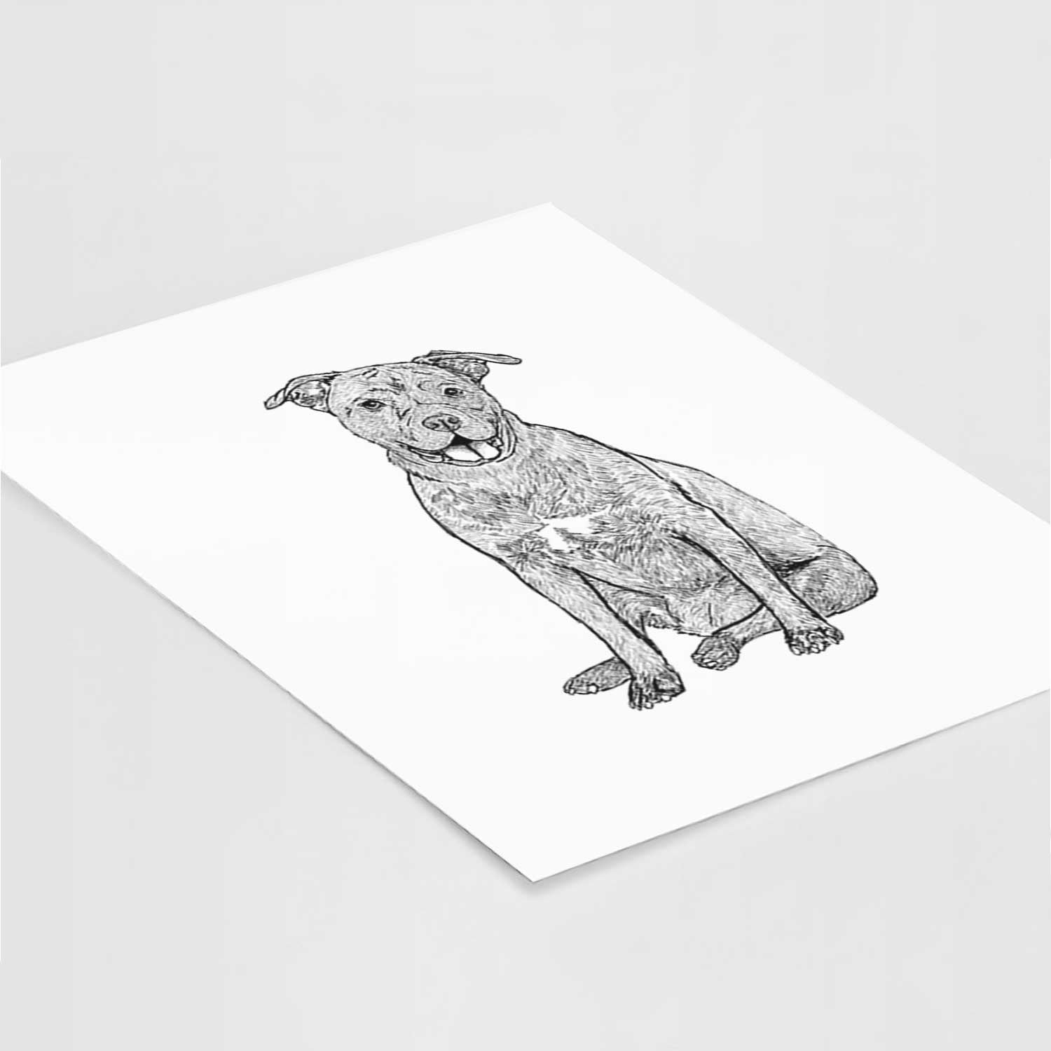 Doodled Sasha the Cane Corso Art Print