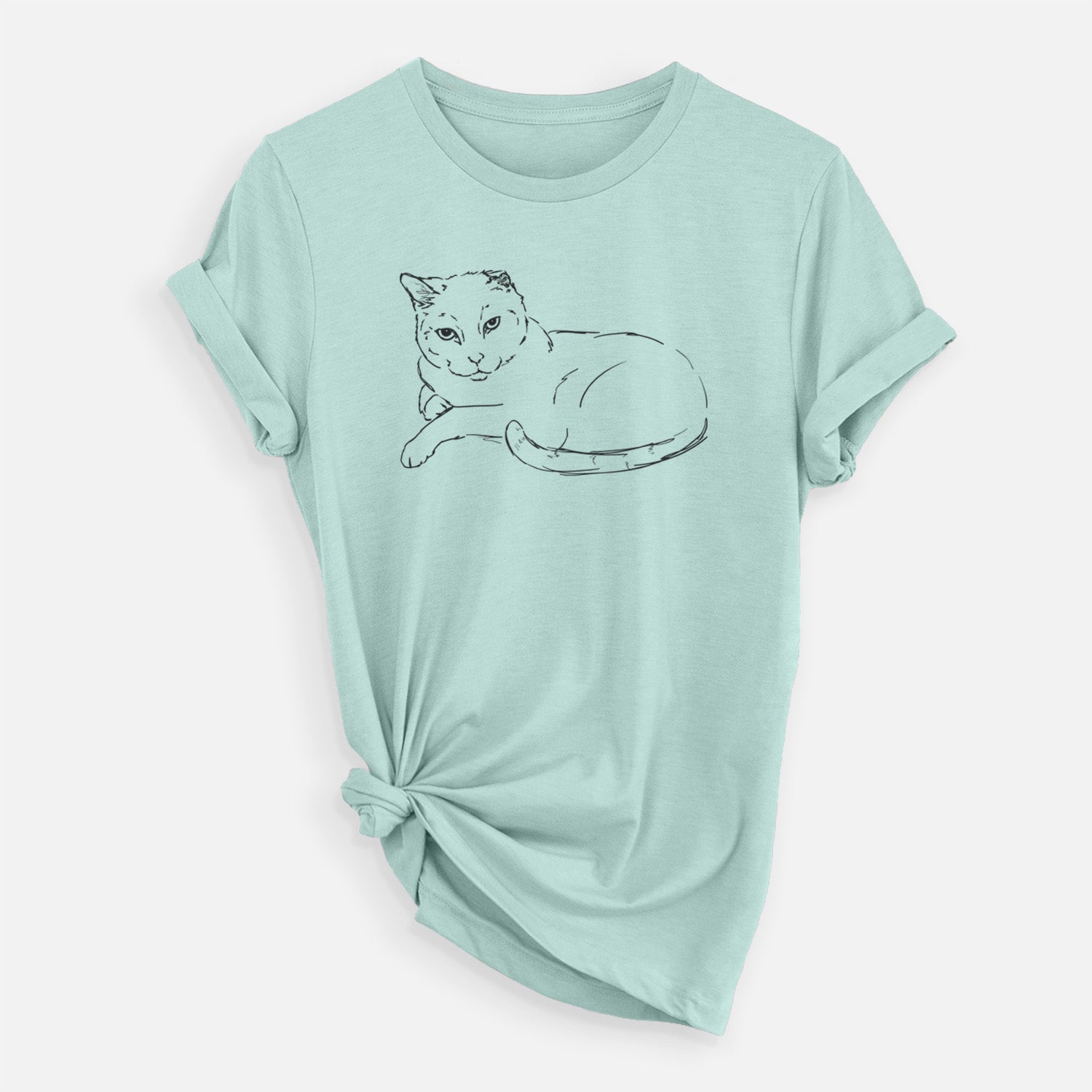 Full-body line drawing of Spenser the Cat on a Heather Sage Unisex crewneck