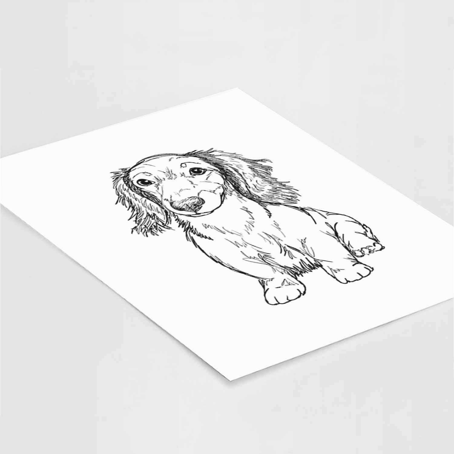 Doodled Sweetie the Toy Long Haired Dachshund Art Print
