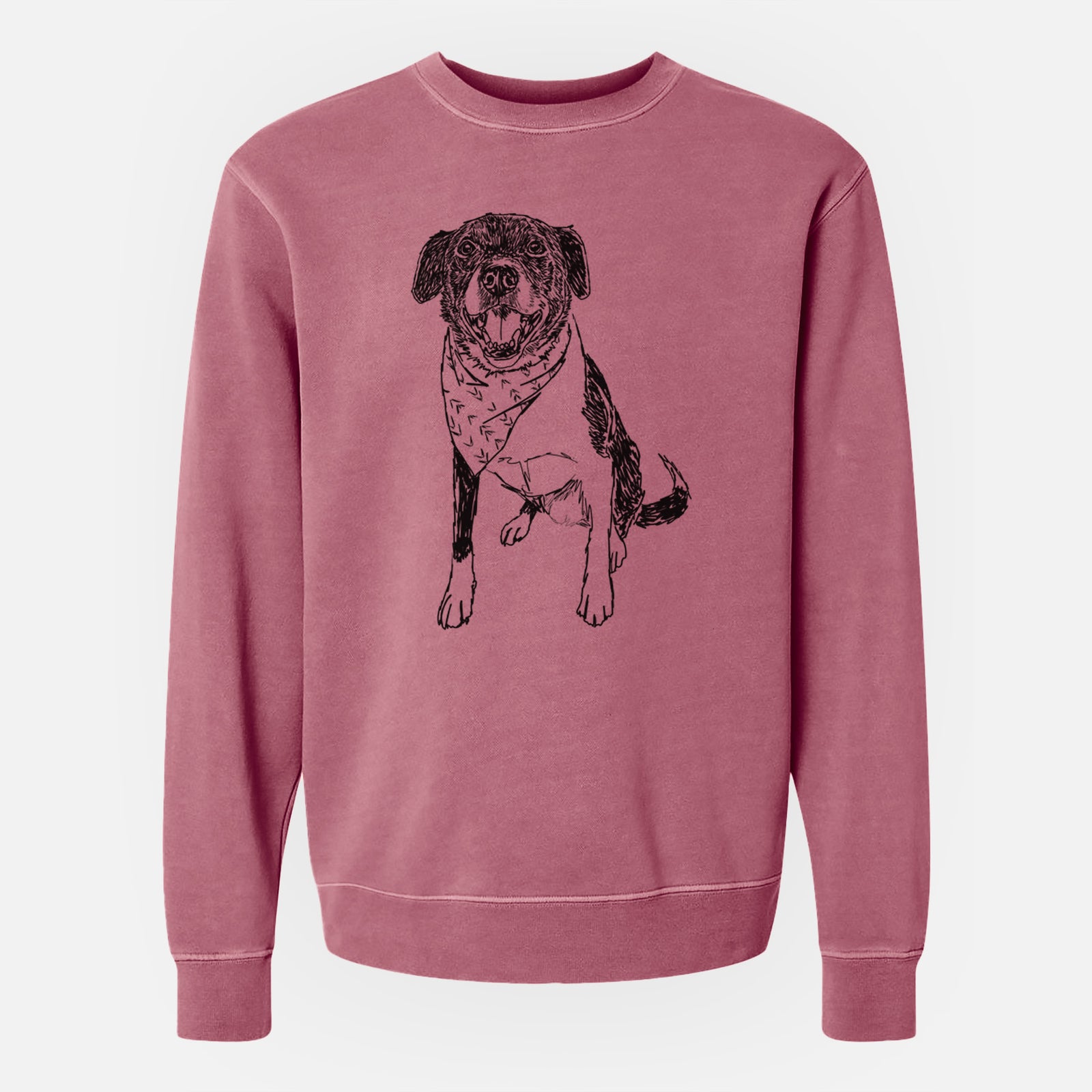 Doodled Tucker the Border Collie Pitbull Mix - Unisex Pigment Dyed Crew Sweatshirt