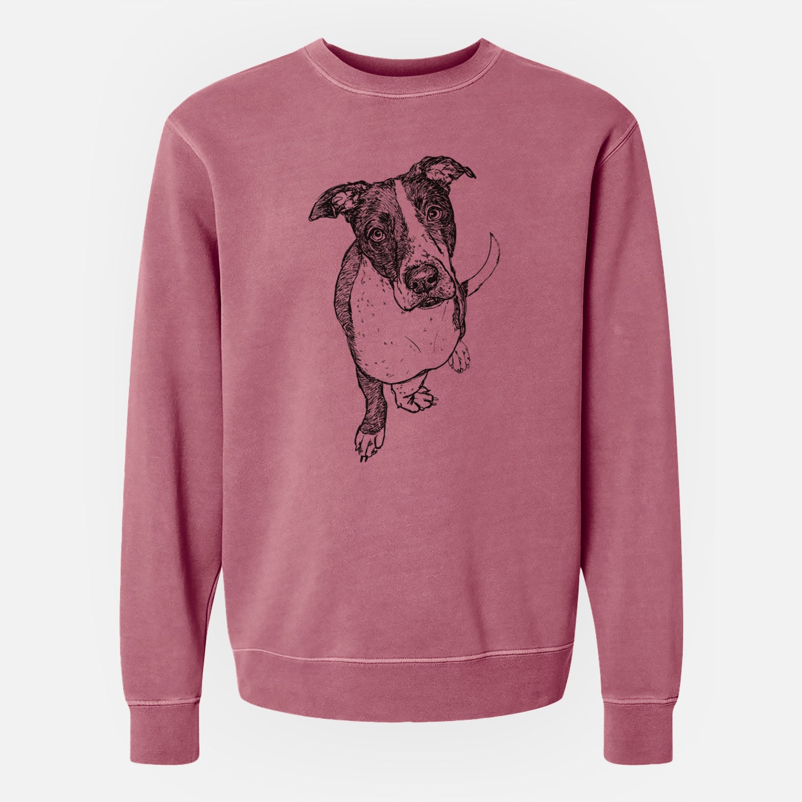 Doodled Vinny the Pitbull - Unisex Pigment Dyed Crew Sweatshirt