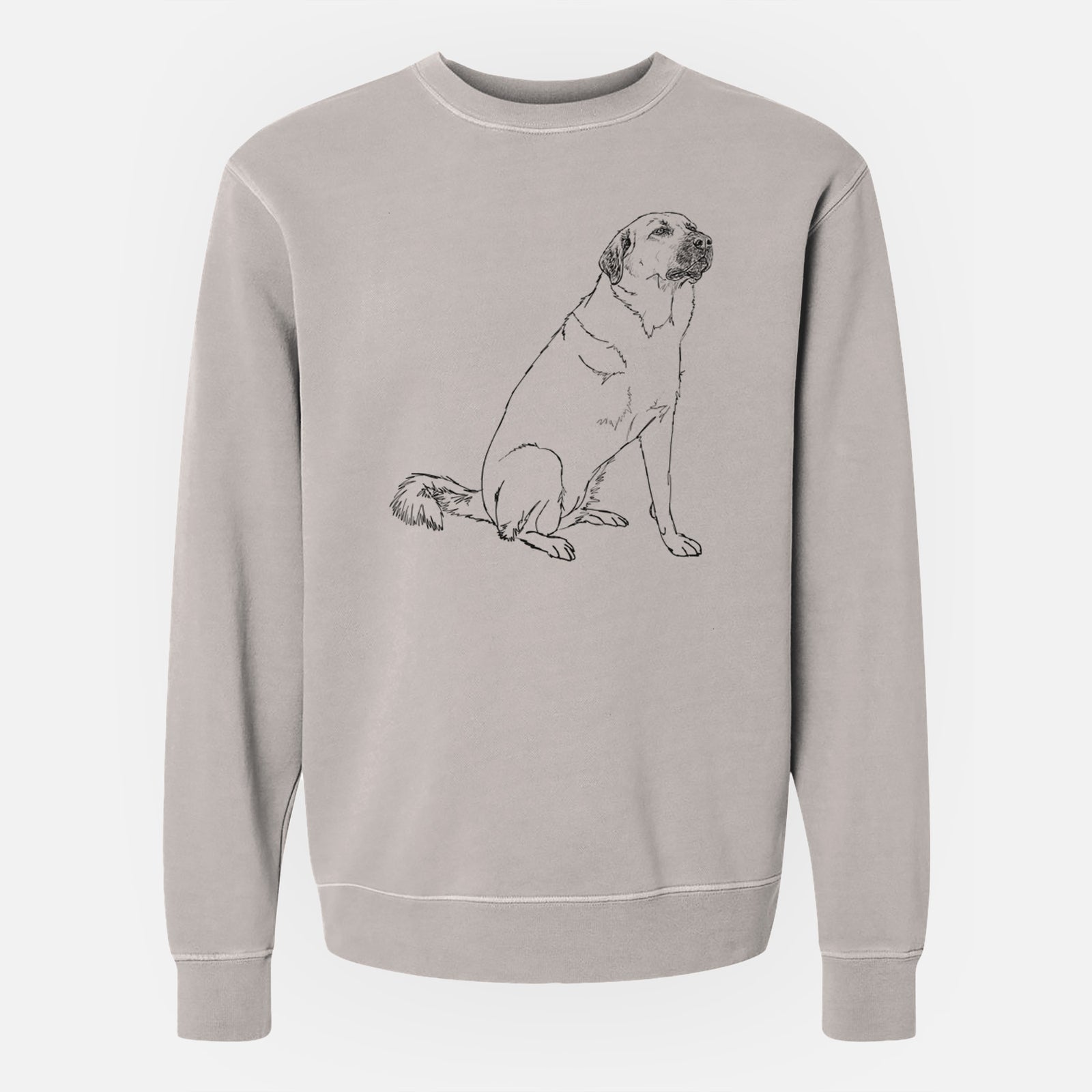 Doodled Willow the Pyratolian - Unisex Pigment Dyed Crew Sweatshirt