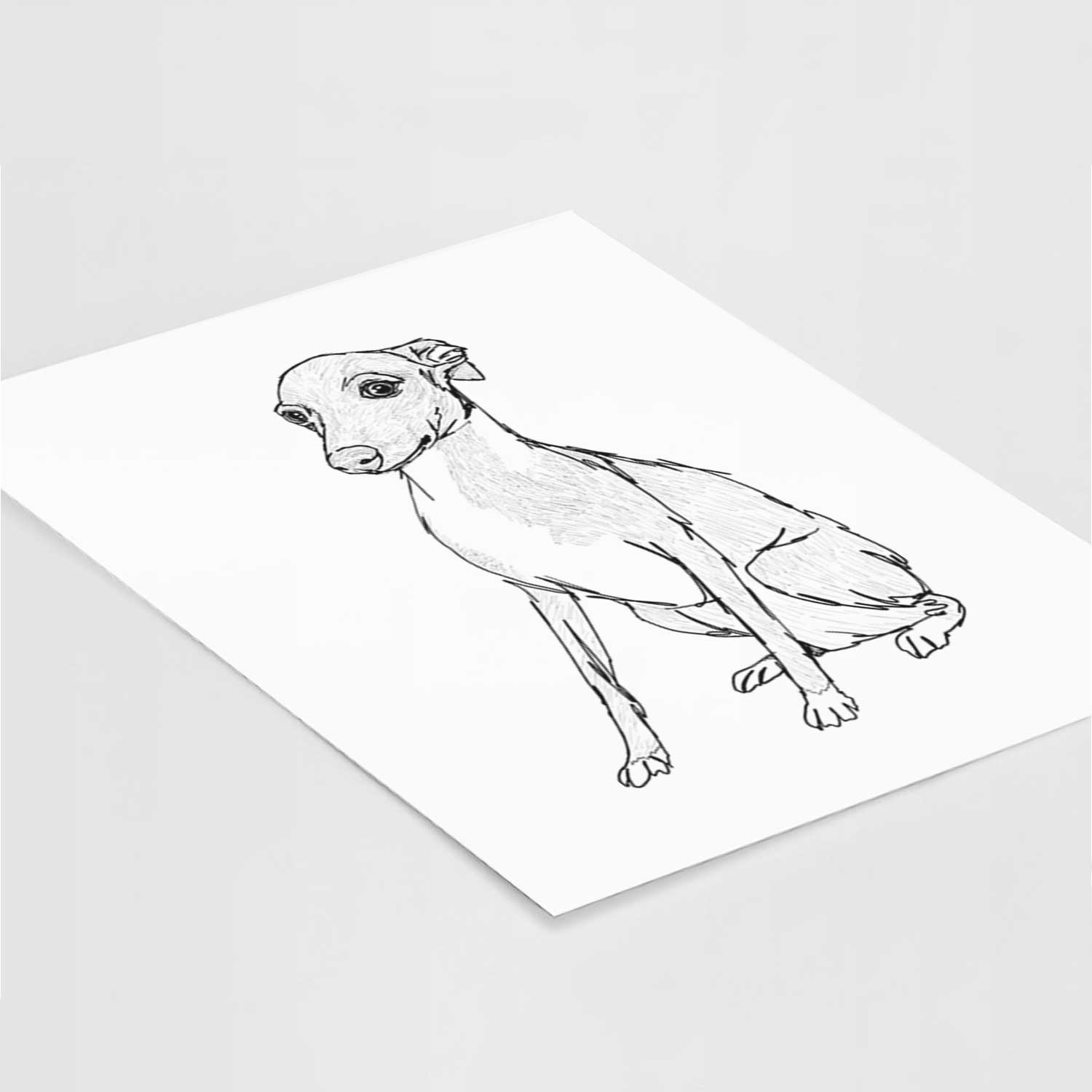 Doodled Winston the Italian Greyhound Puppy Art Print