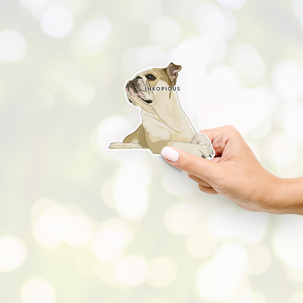 Diesel - English Bulldog - Decal Sticker