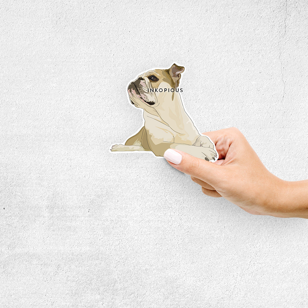 Diesel - English Bulldog - Decal Sticker