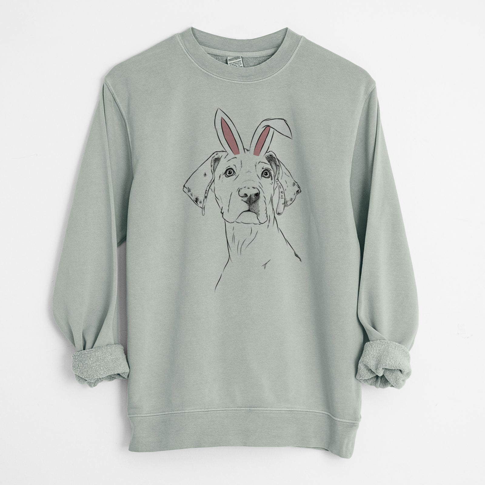 Easter Lumen the Special Needs Great Dane - Unisex Pigment Dyed Crew Sweatshirt