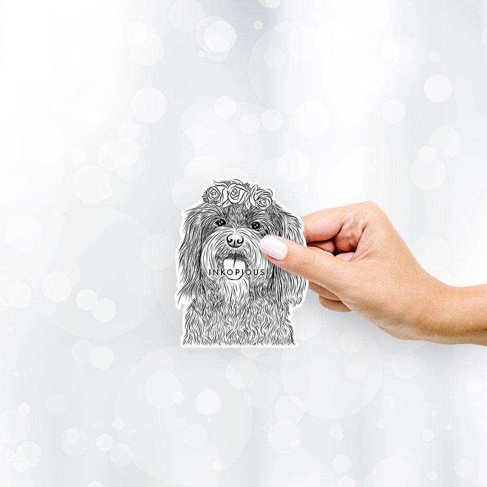 'Sophie the Havanese' design on a decal sticker