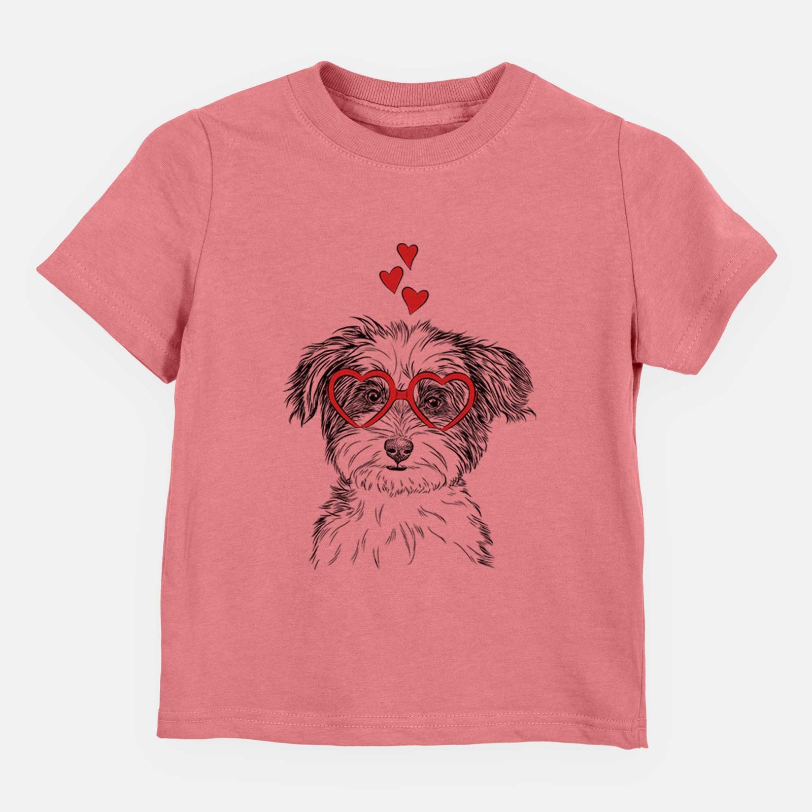 Valentine Teddy the Havanese - Kids/Youth/Toddler Shirt