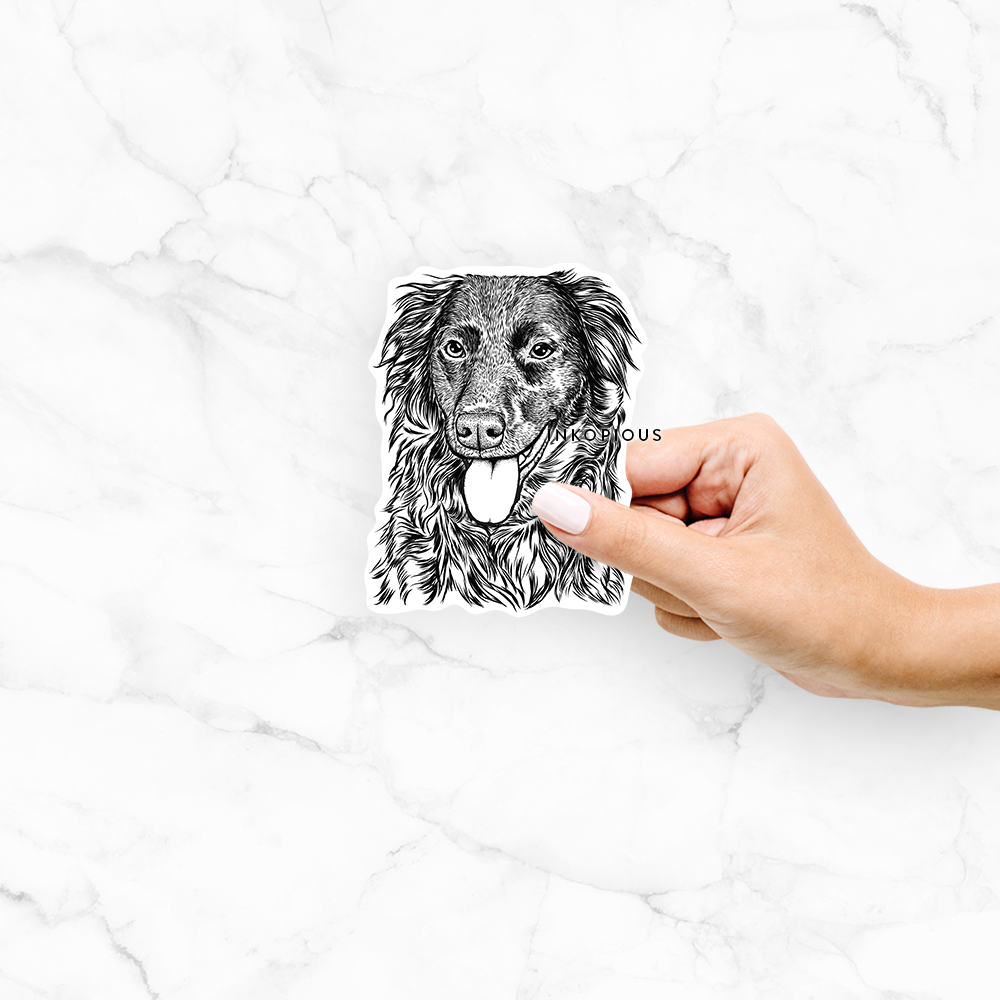 'Maisie Mae the Aussiedor' design on a decal sticker