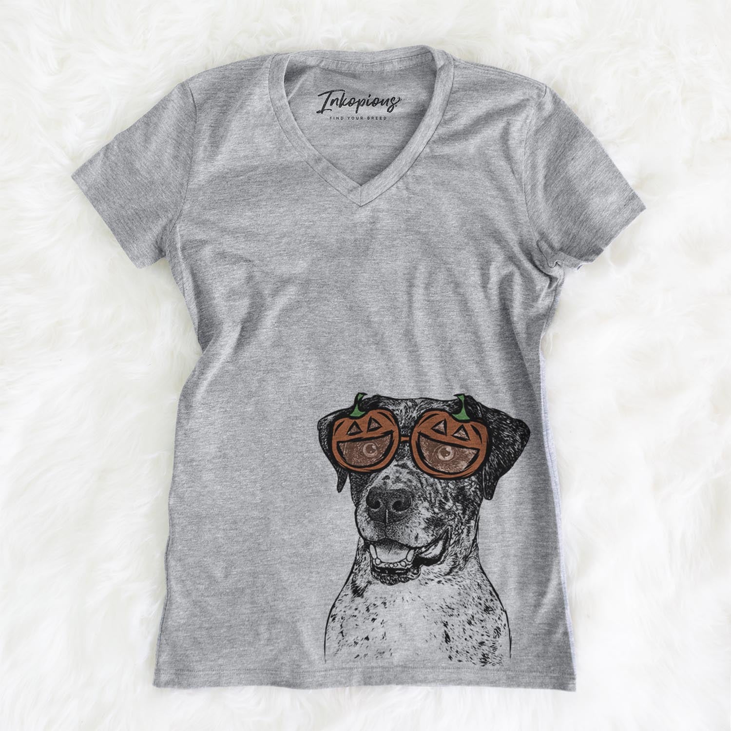 Argos the Catahoula - Pumpkin Collection