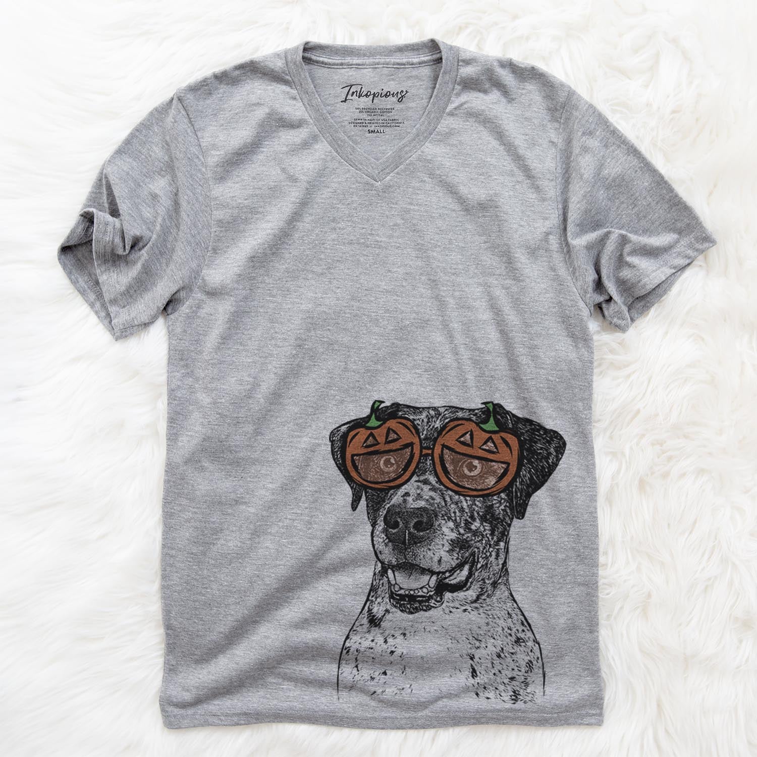 Argos the Catahoula - Pumpkin Collection