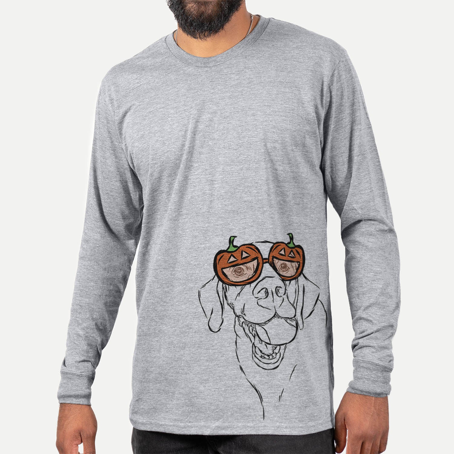 Bailey the Labrador Retriever - Pumpkin Collection