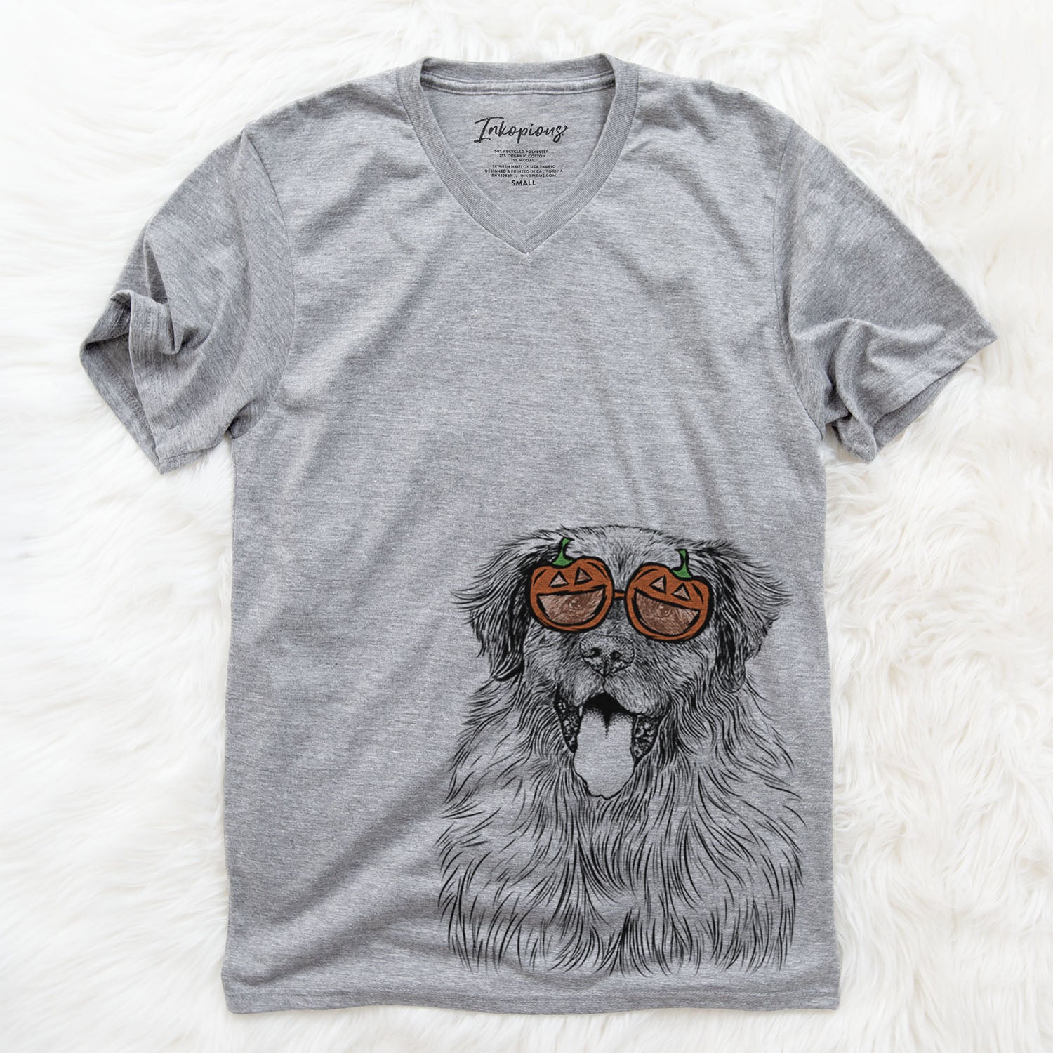 Hand-drawn sketch of Bamboo the Leonberger wearing pumpkin glasses on a Grey pumpkin collection