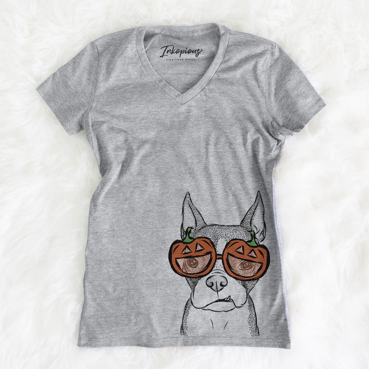 Bean the Boston Terrier - Pumpkin Collection