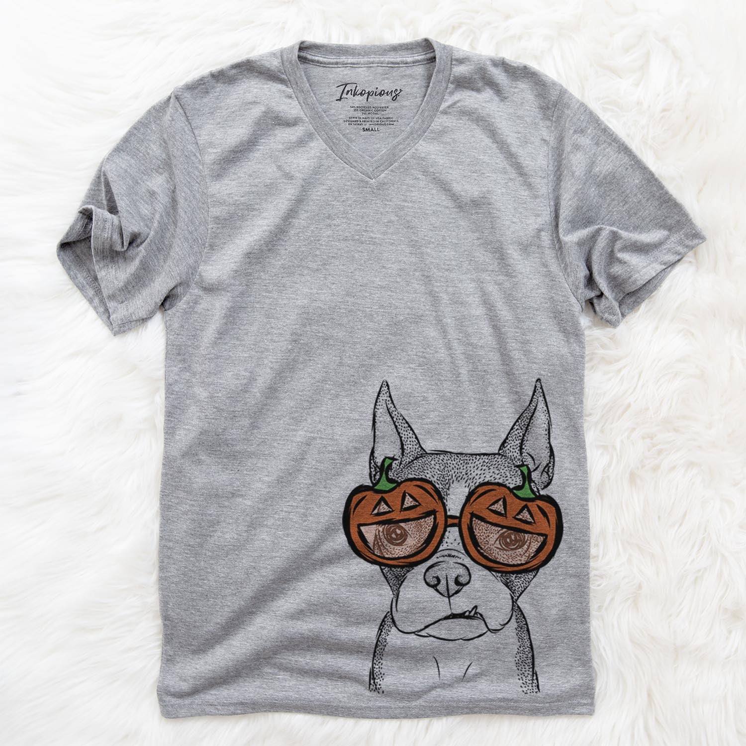 Bean the Boston Terrier - Pumpkin Collection