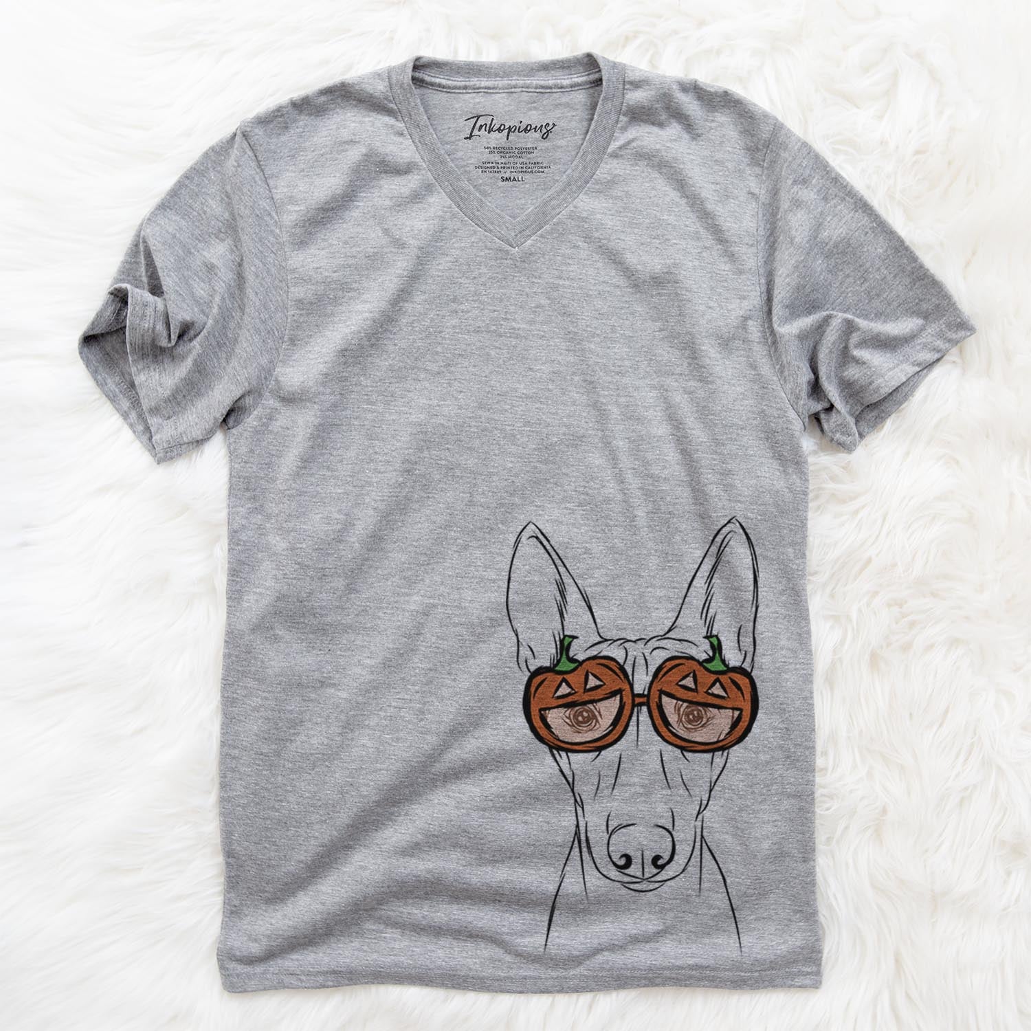 Bonsai the Basenji - Pumpkin Collection