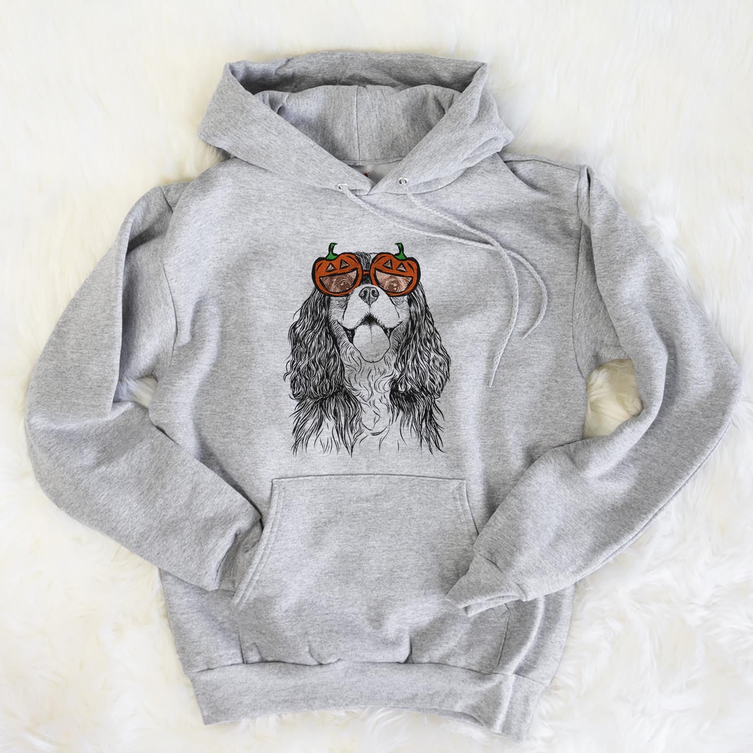 Hand-drawn sketch of Brandy the Cavalier King Charles Spaniel wearing pumpkin glasses on a Grey pumpkin collection, flat lay